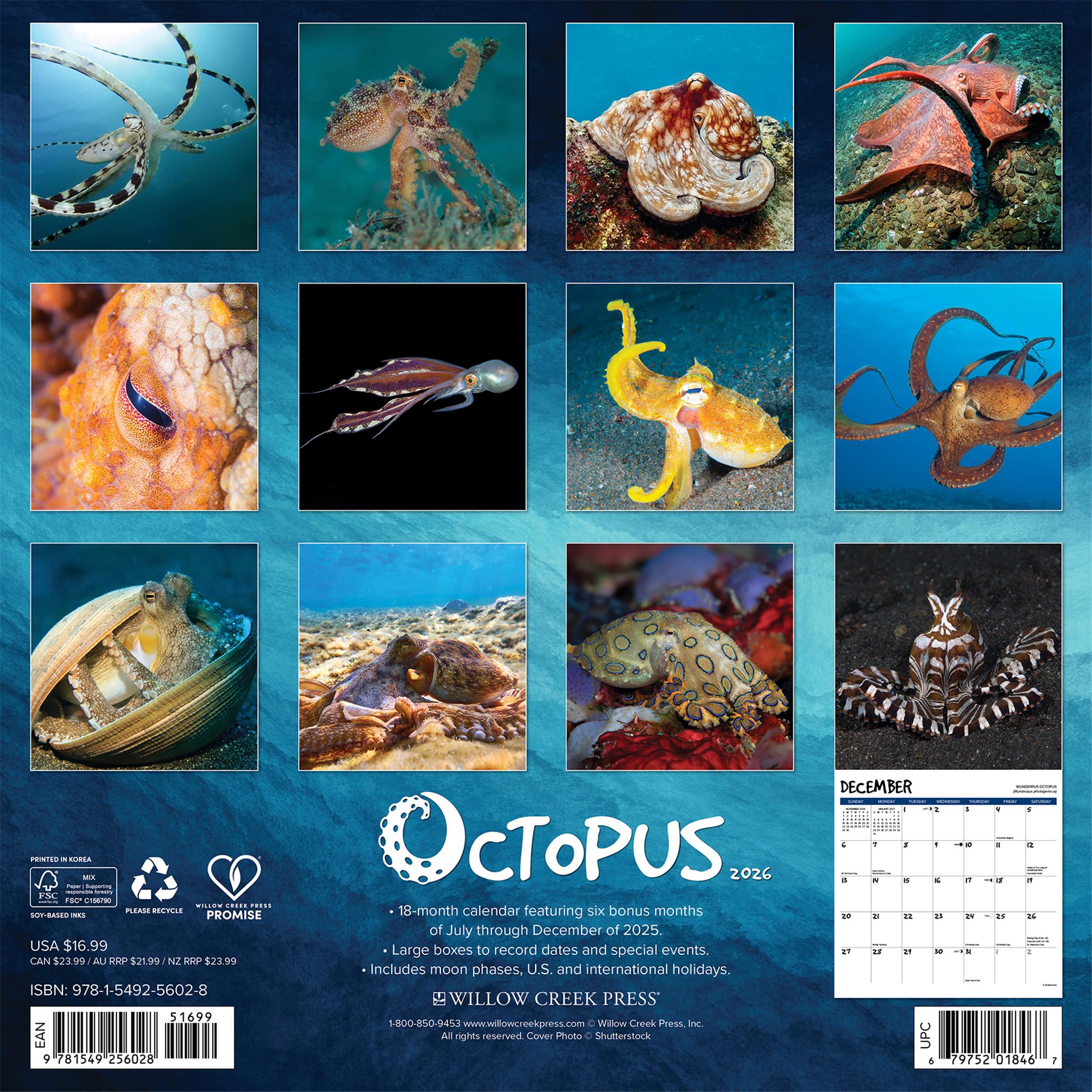 Calendrier mural Octopus 2026