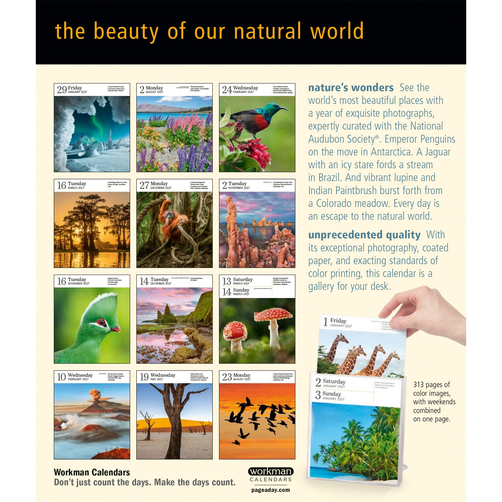 Audubon Nature Gallery 2027 Box Calendar