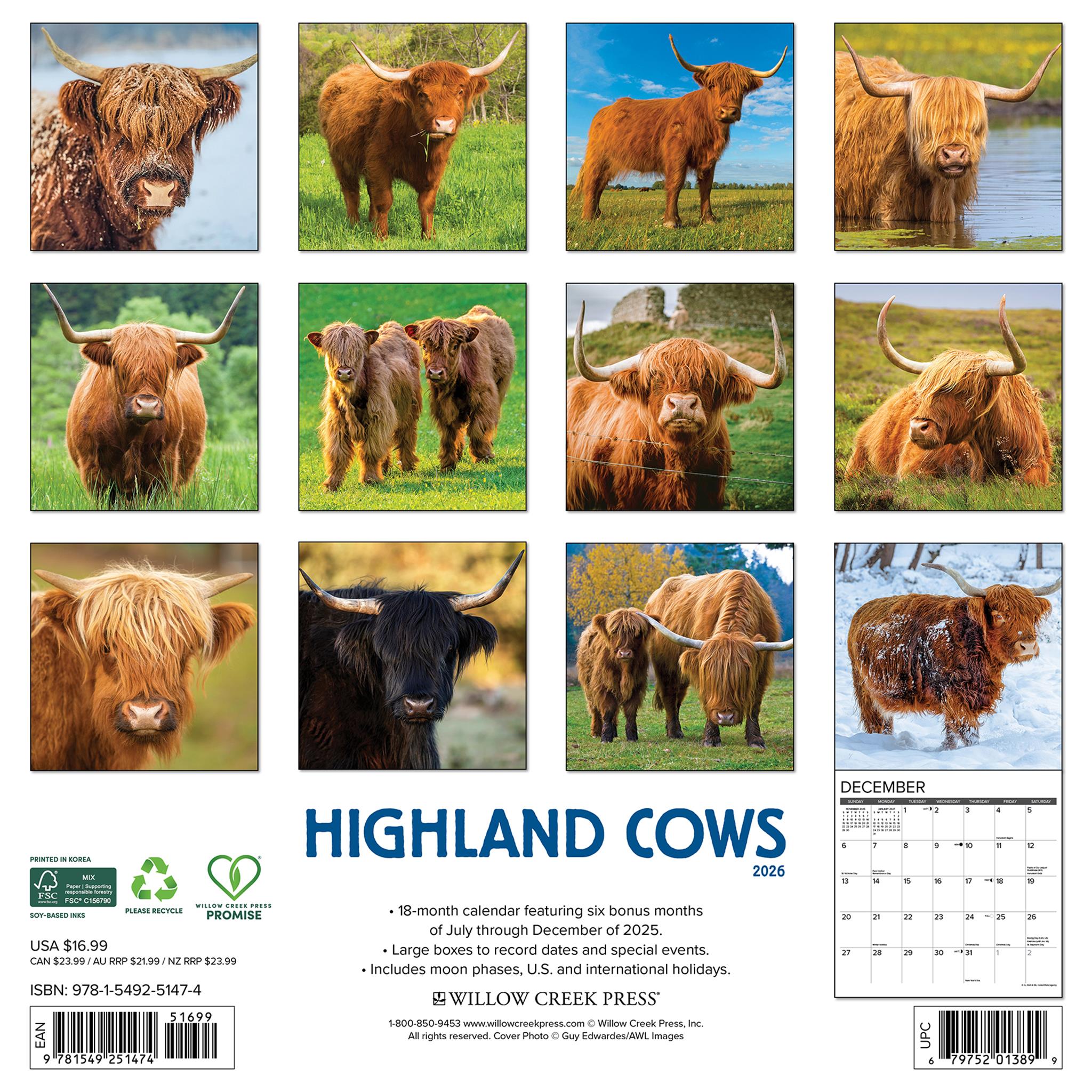 Calendrier mural 2026 des vaches des Highlands - Disponible uniquement en ligne
