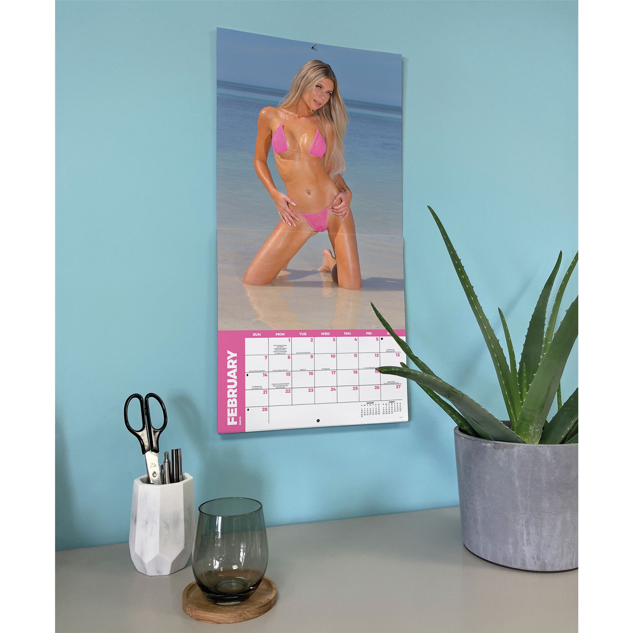 Beach Babes 2027 Wall Calendar
