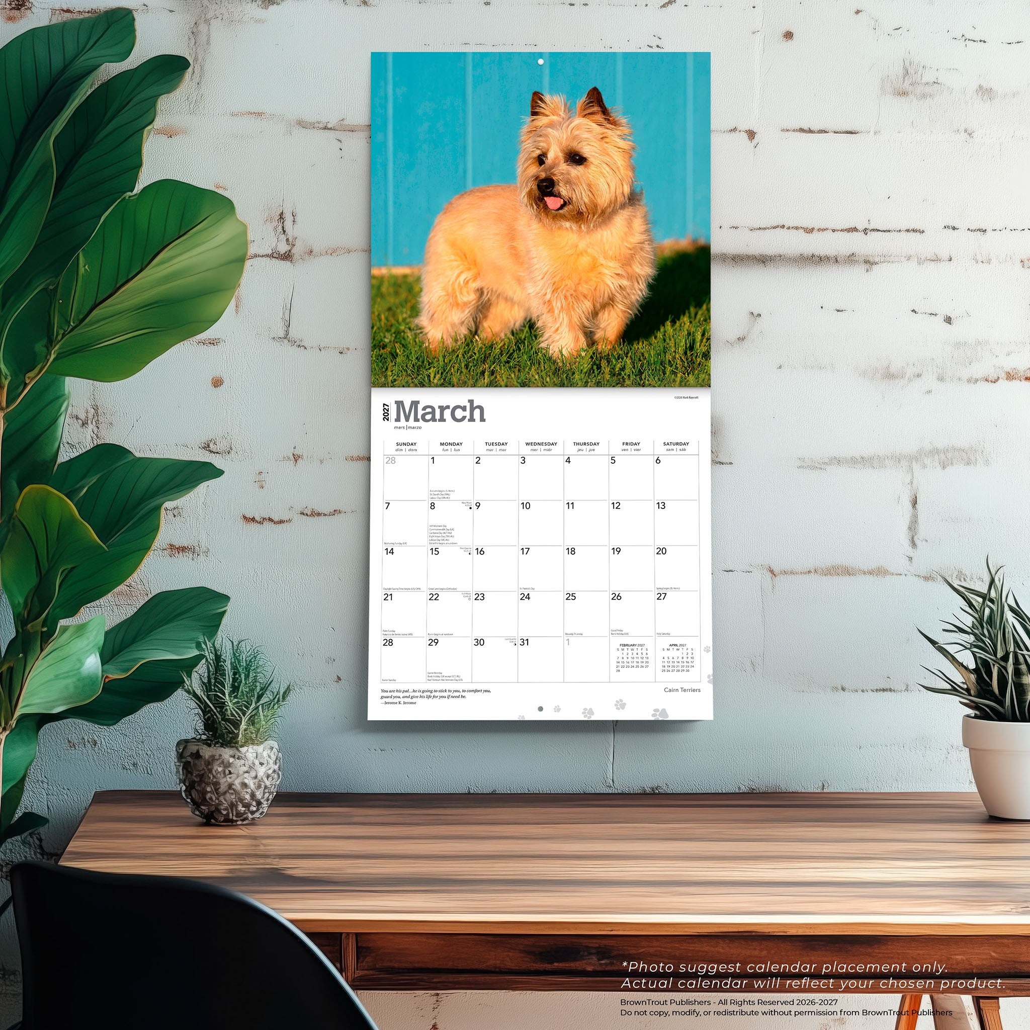 Cairn Terriers 2027 Wall Calendar