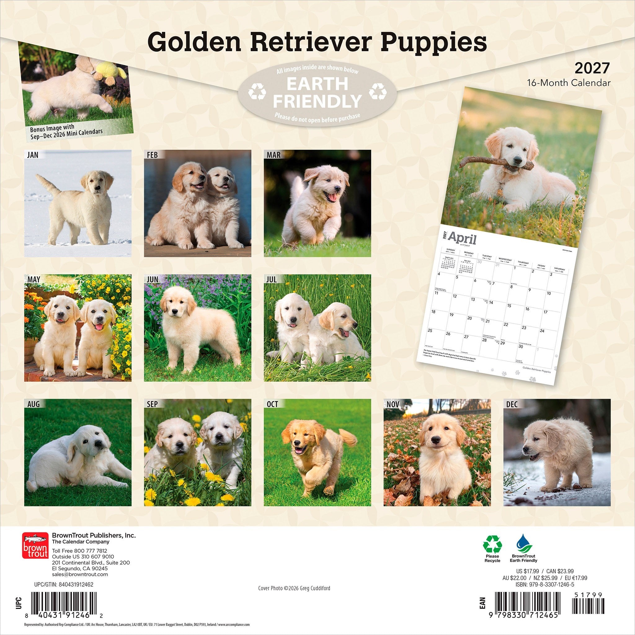 Golden Retriever Puppies 2027 Wall Calendar