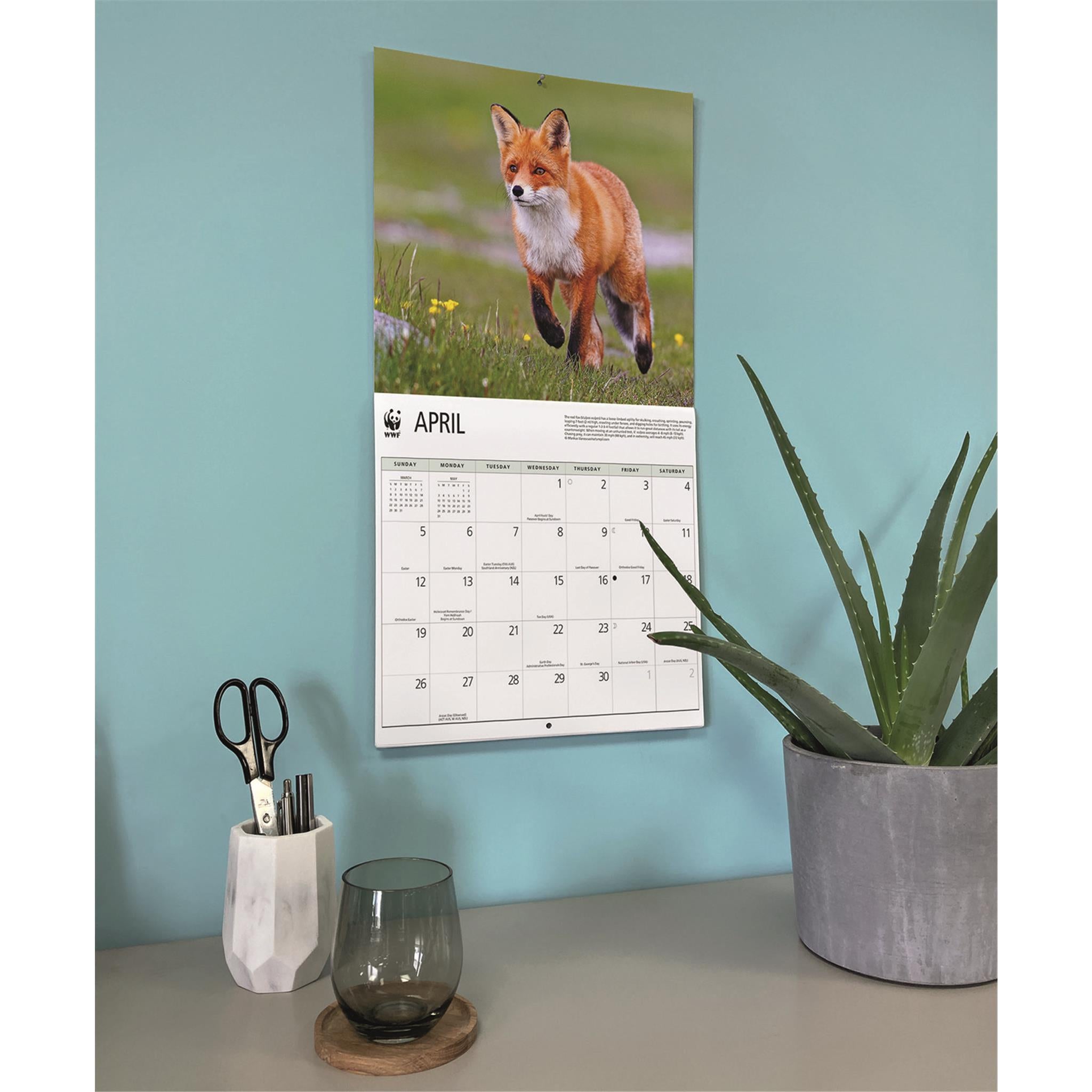 World Wildlife Fund Foxes 2026 Wall Calendar