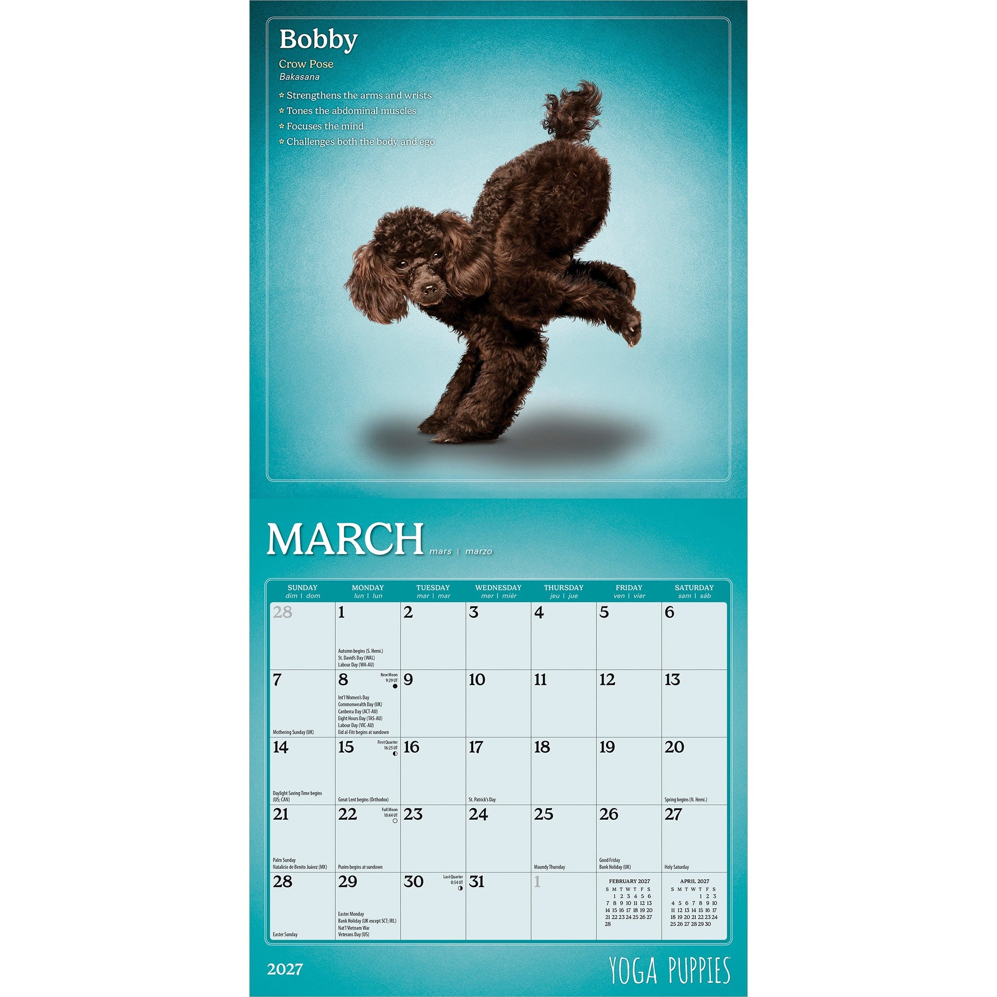 Yoga Puppies 2027 Mini Calendar