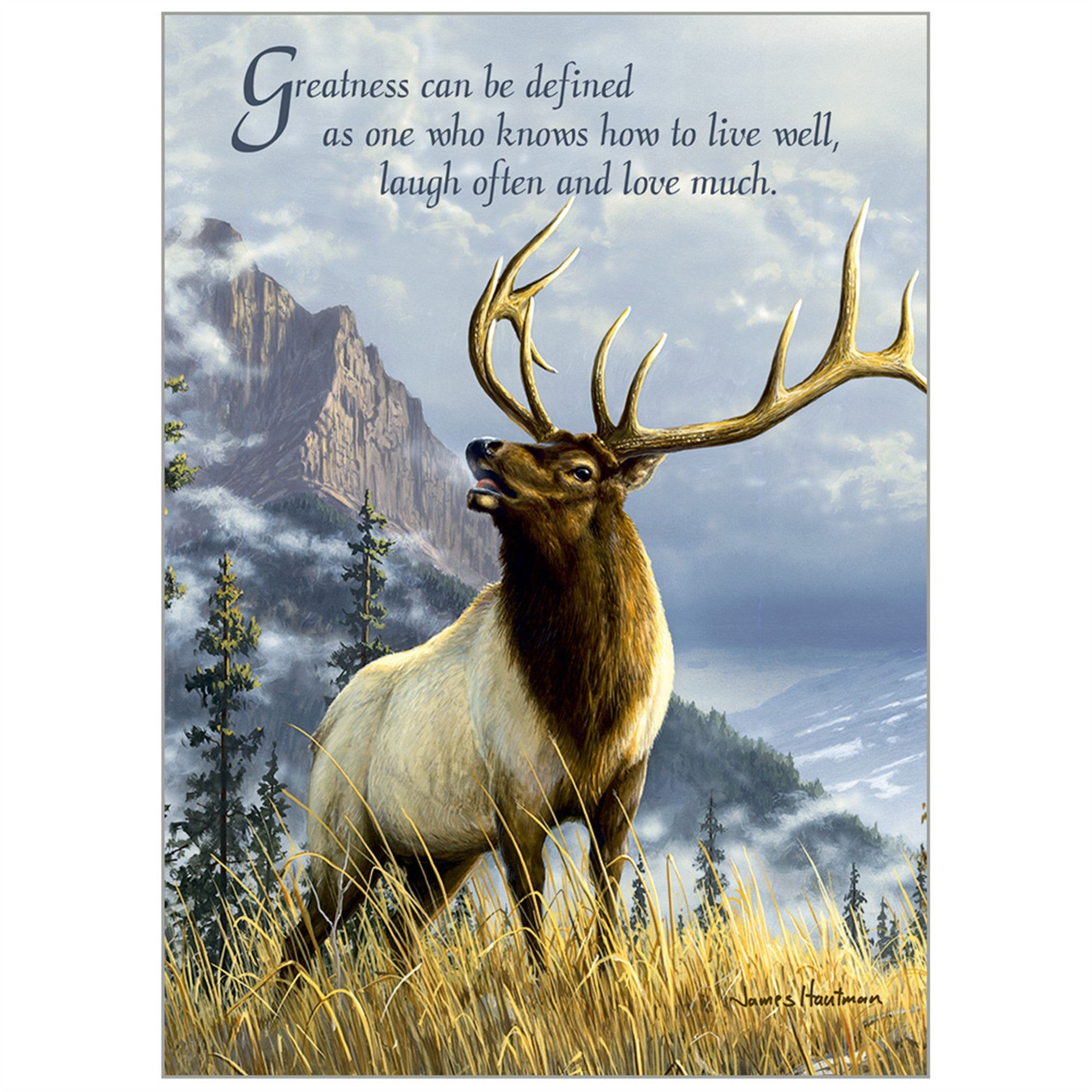 Wildlife Special Edition 2027 Wall Calendar