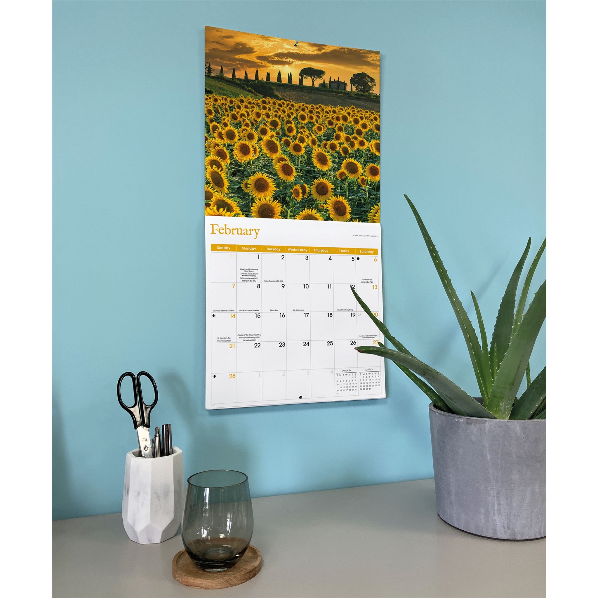 Sunflowers 2027 Wall Calendar