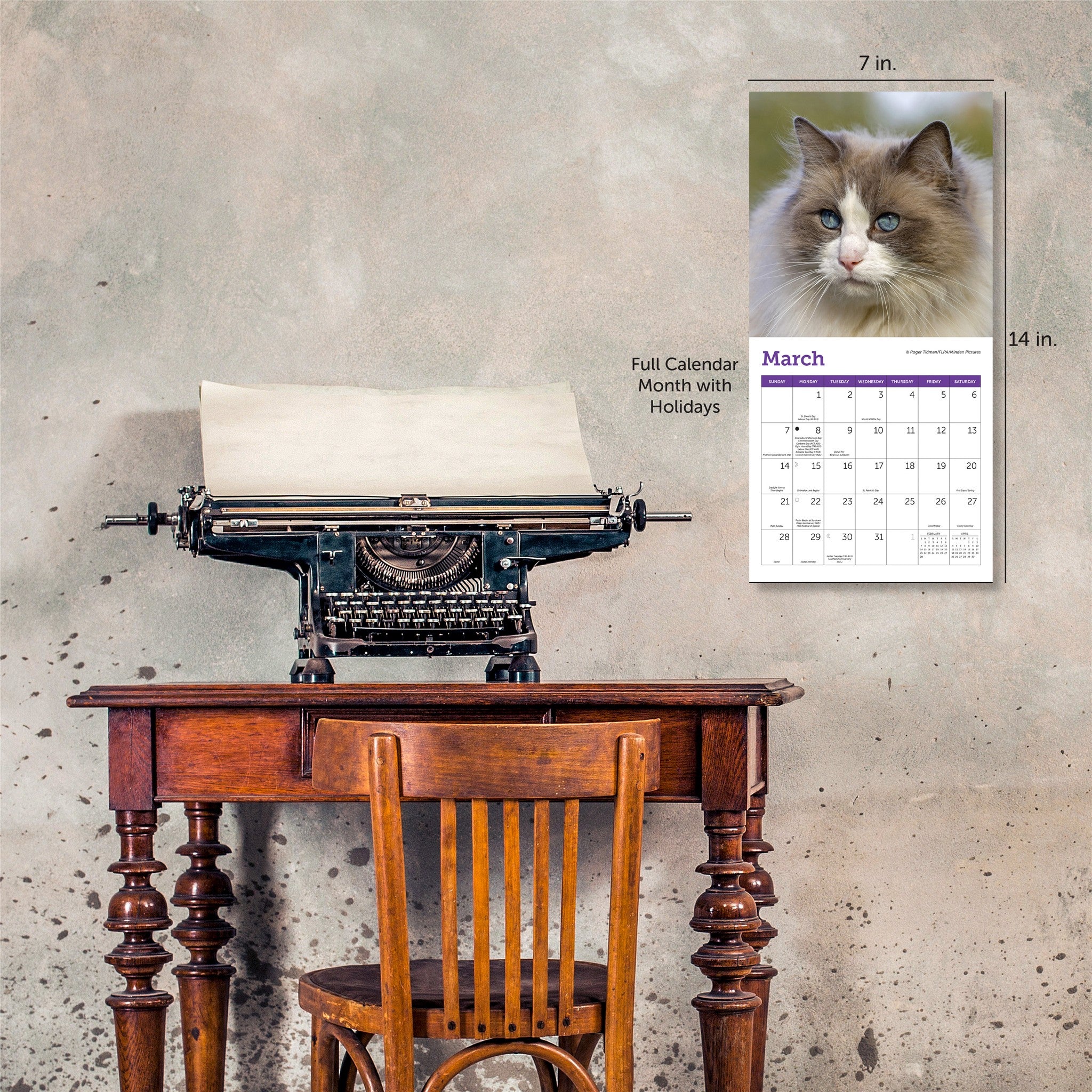 Mini calendrier Chats 2027