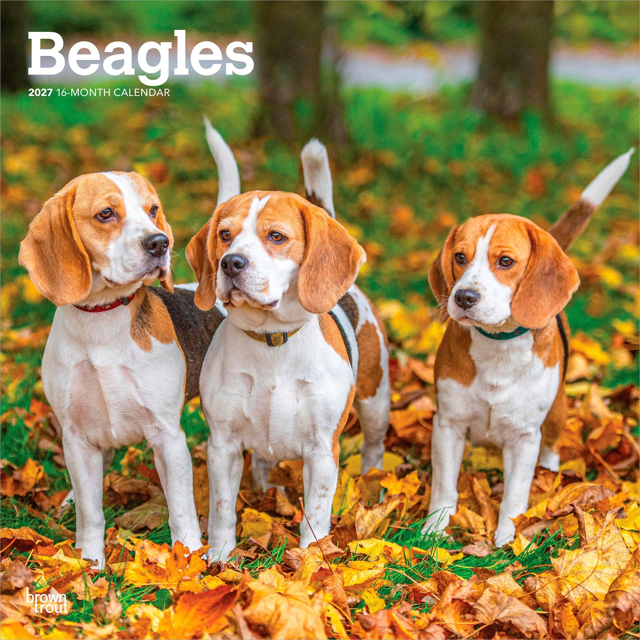 Beagles 2027 Wall Calendar