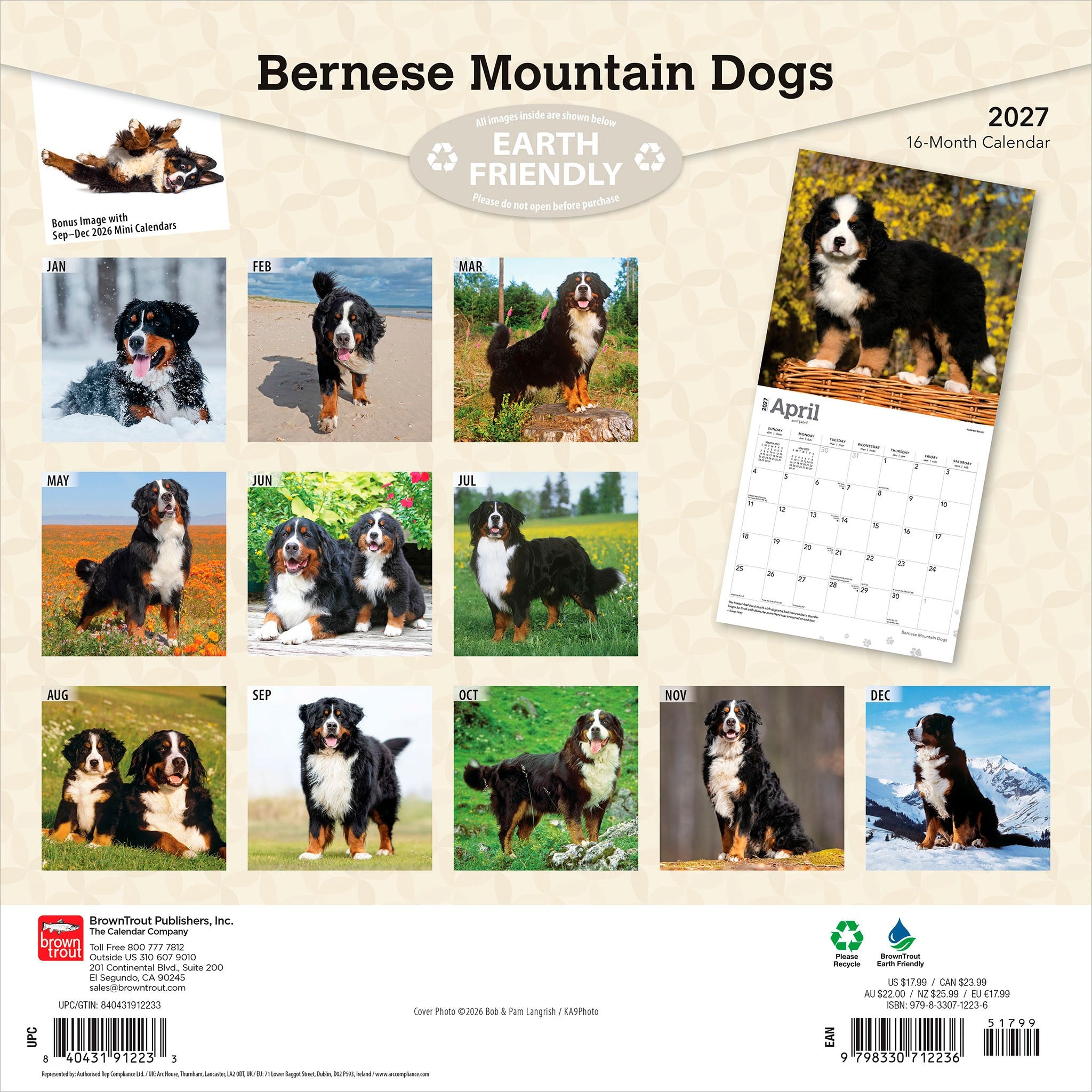 Bernese Mountain Dogs 2027 Wall Calendar