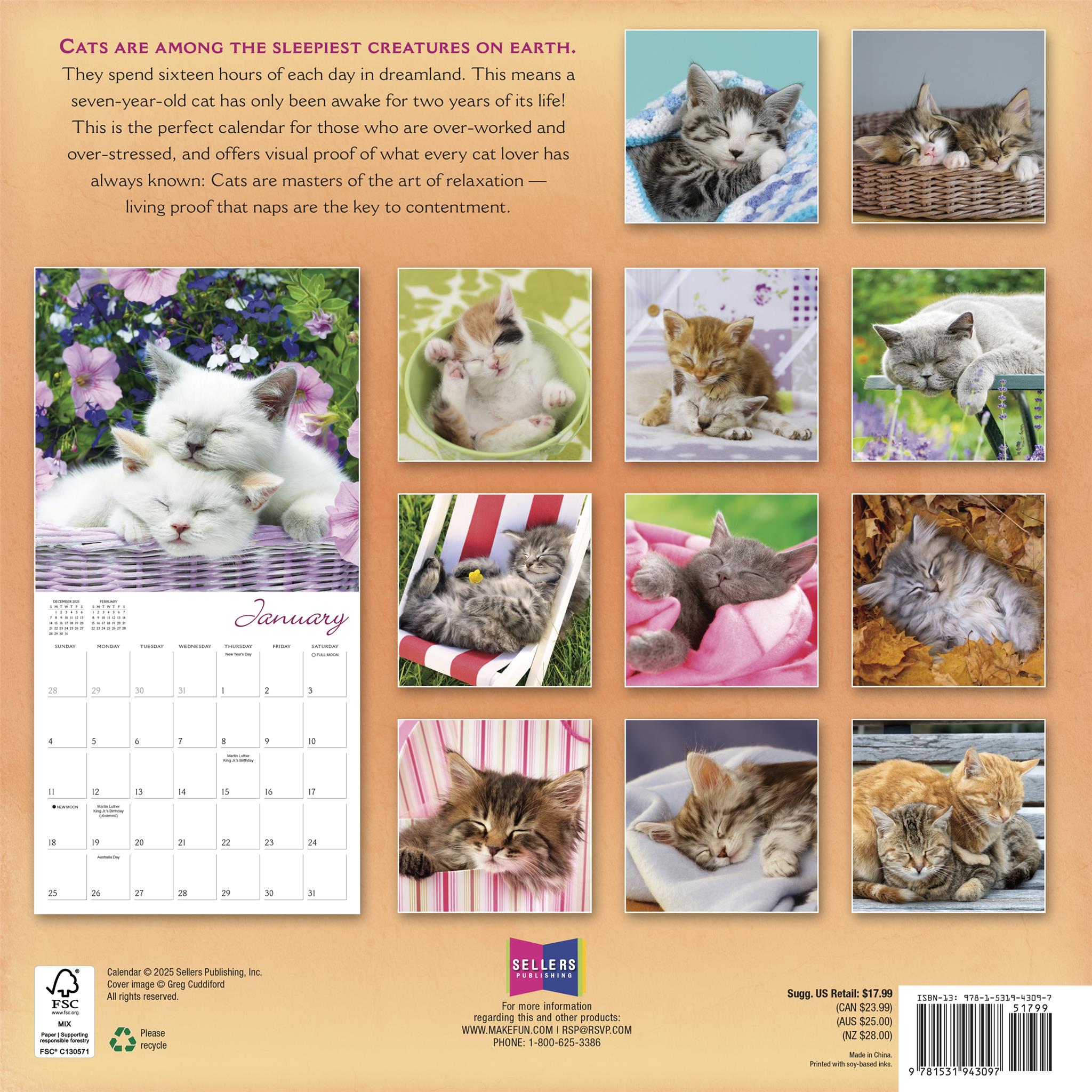 Calendrier mural Cat Naps 2026 - Disponible uniquement en ligne