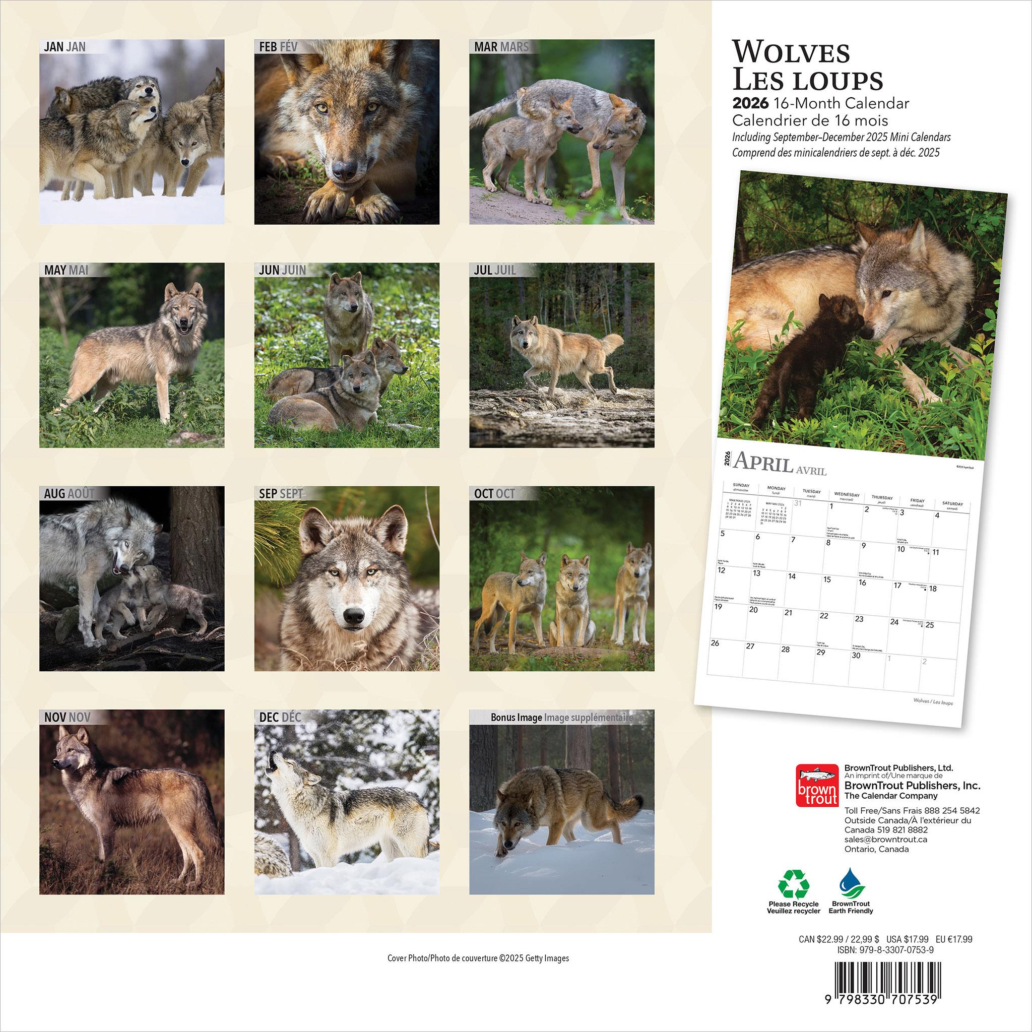 Calendrier mural Les Loups 2026 (français)