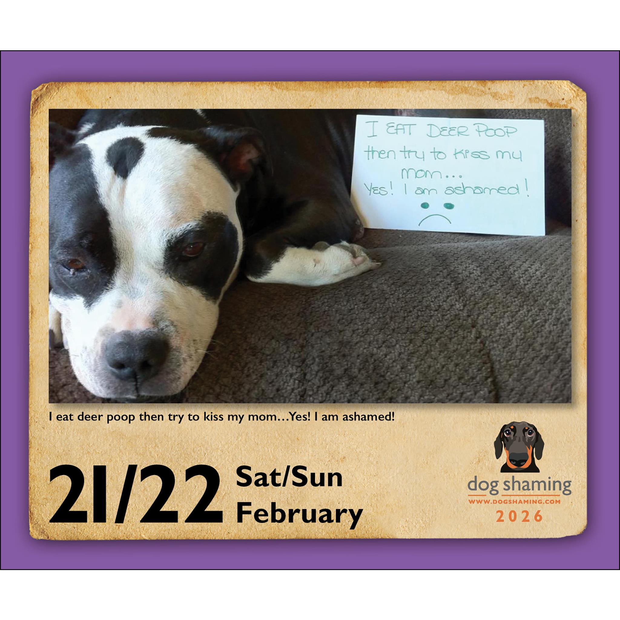Dog Shaming 2026 Box Calendar