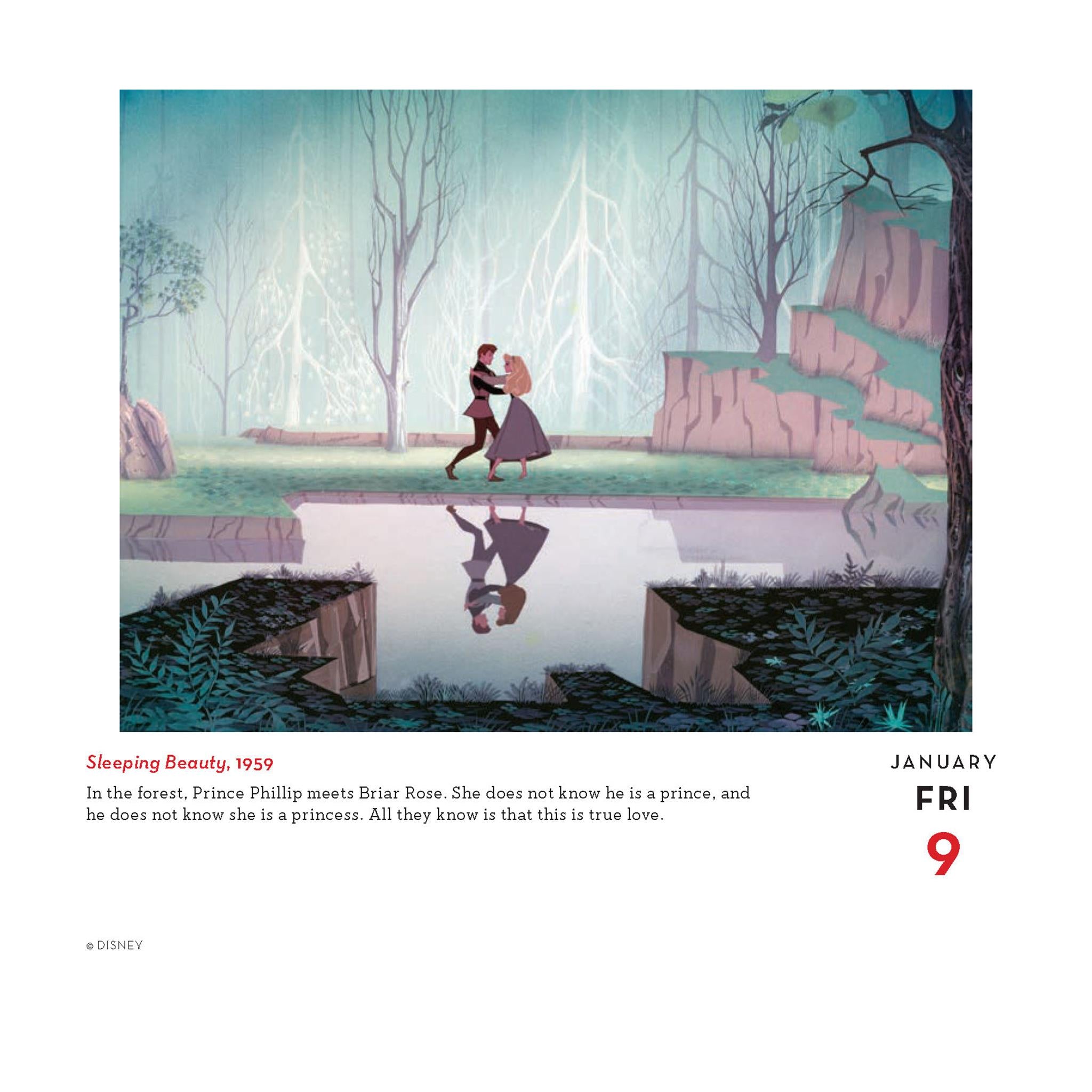 Calendrier Disney Une année d'animation 2026