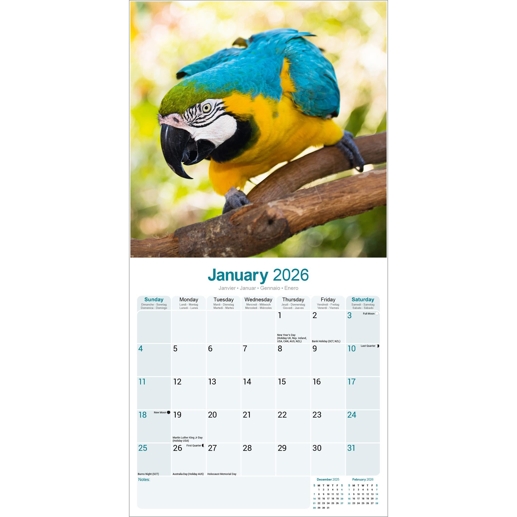 Calendrier mural Macaws 2026