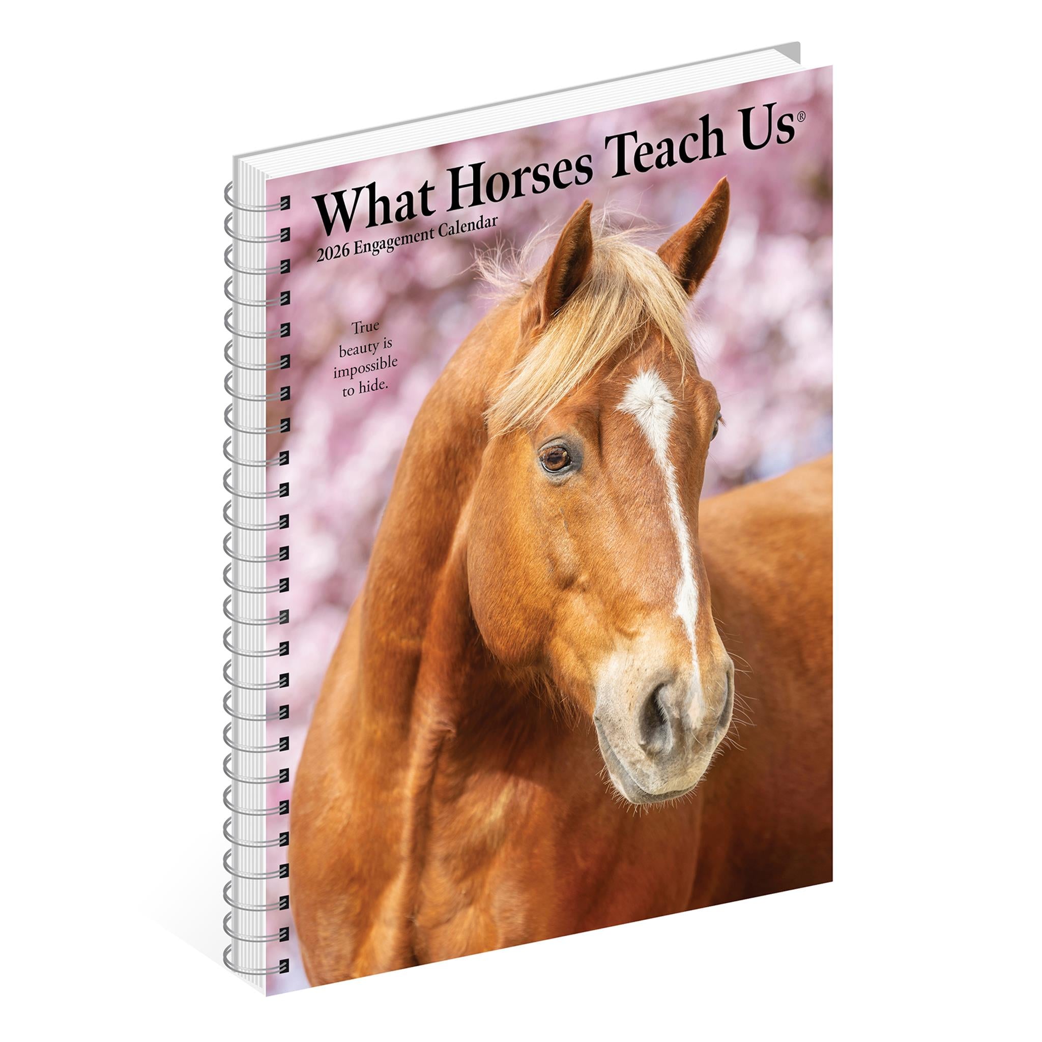 Calendrier des fiançailles 2026 de What Horses Teach Us