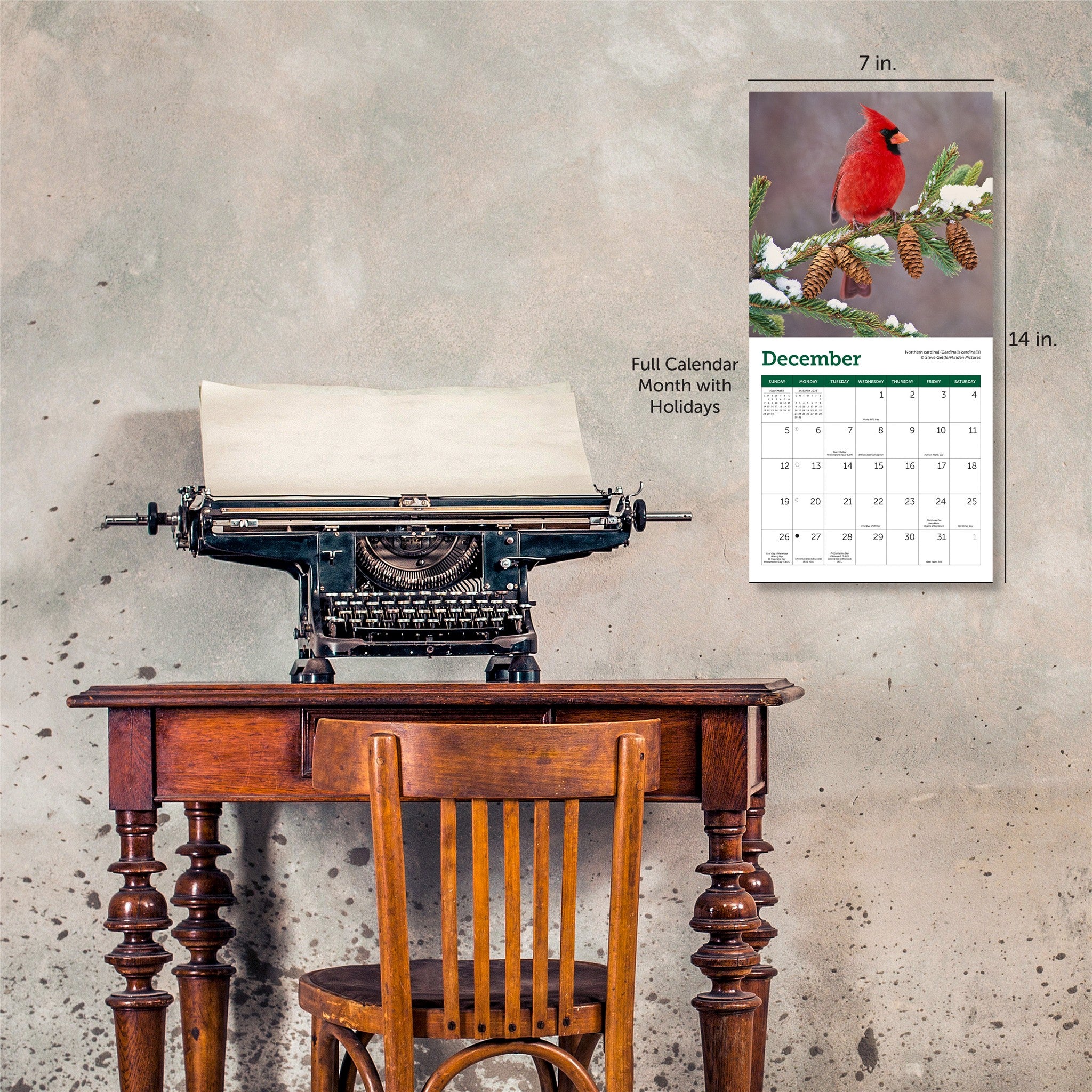 Mini-calendrier 2027 Oiseaux chanteurs