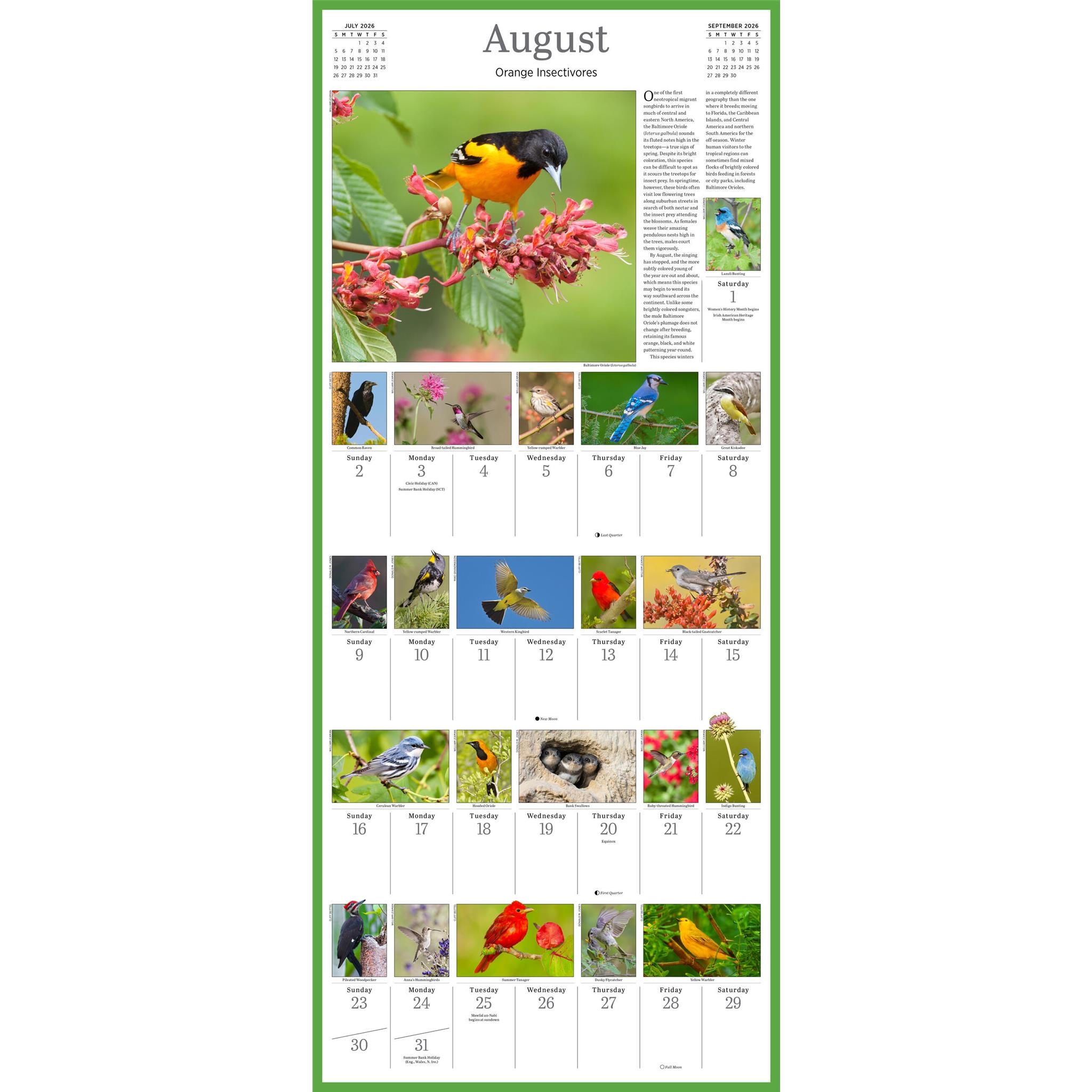 Calendrier mural Audubon Songbirds 365 2026