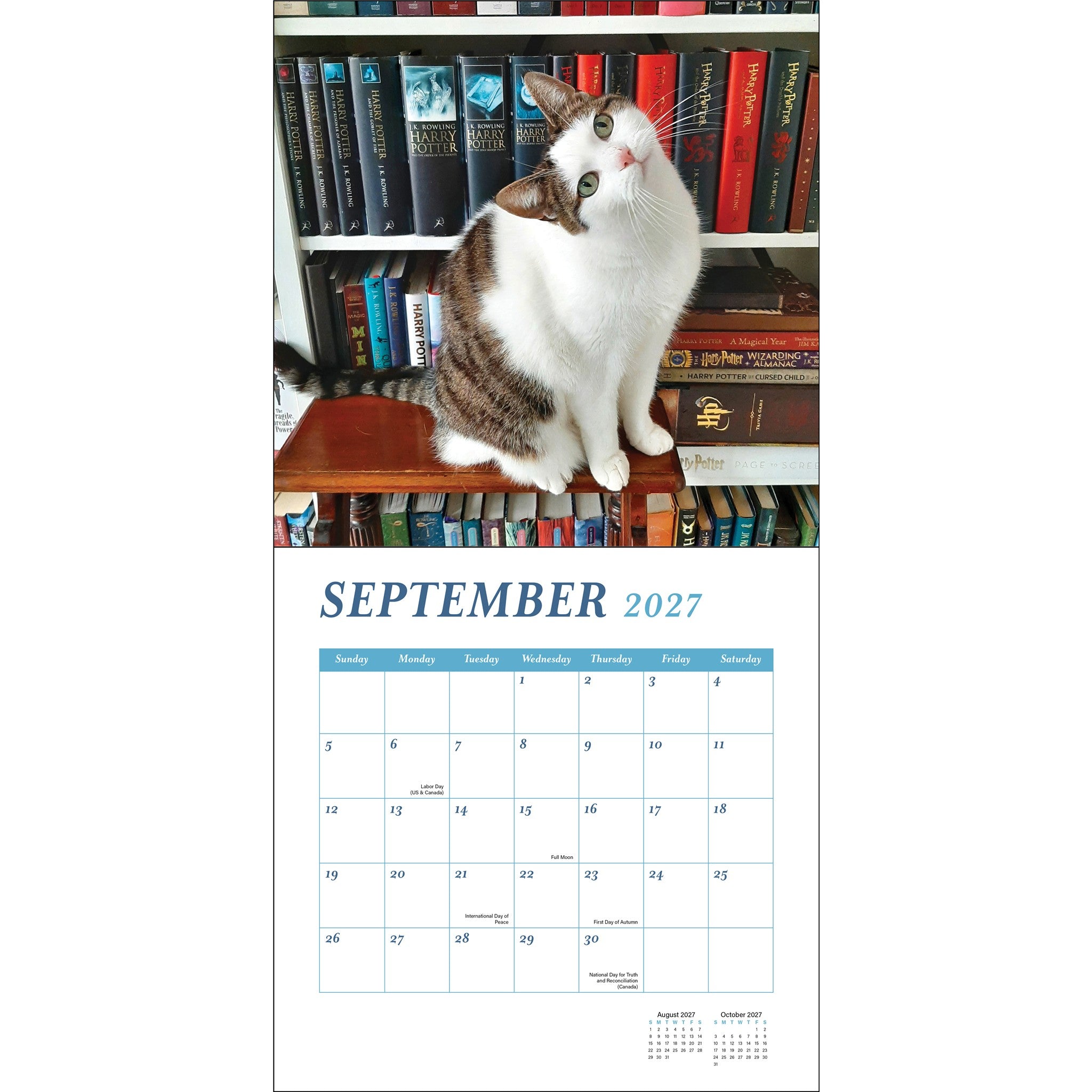Cats and Books 2027 Wall Calendar