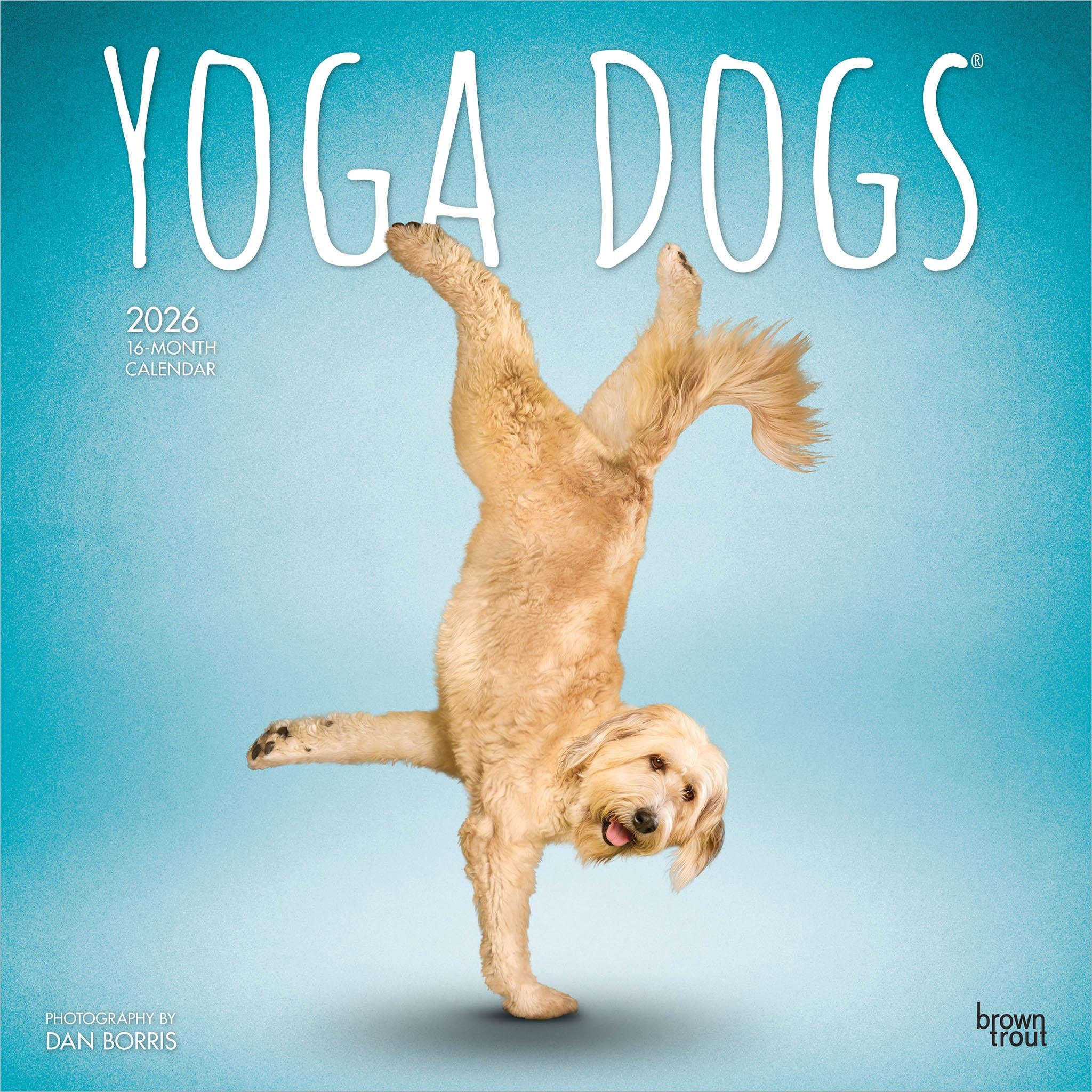 Calendrier mural Yoga Dogs 2026