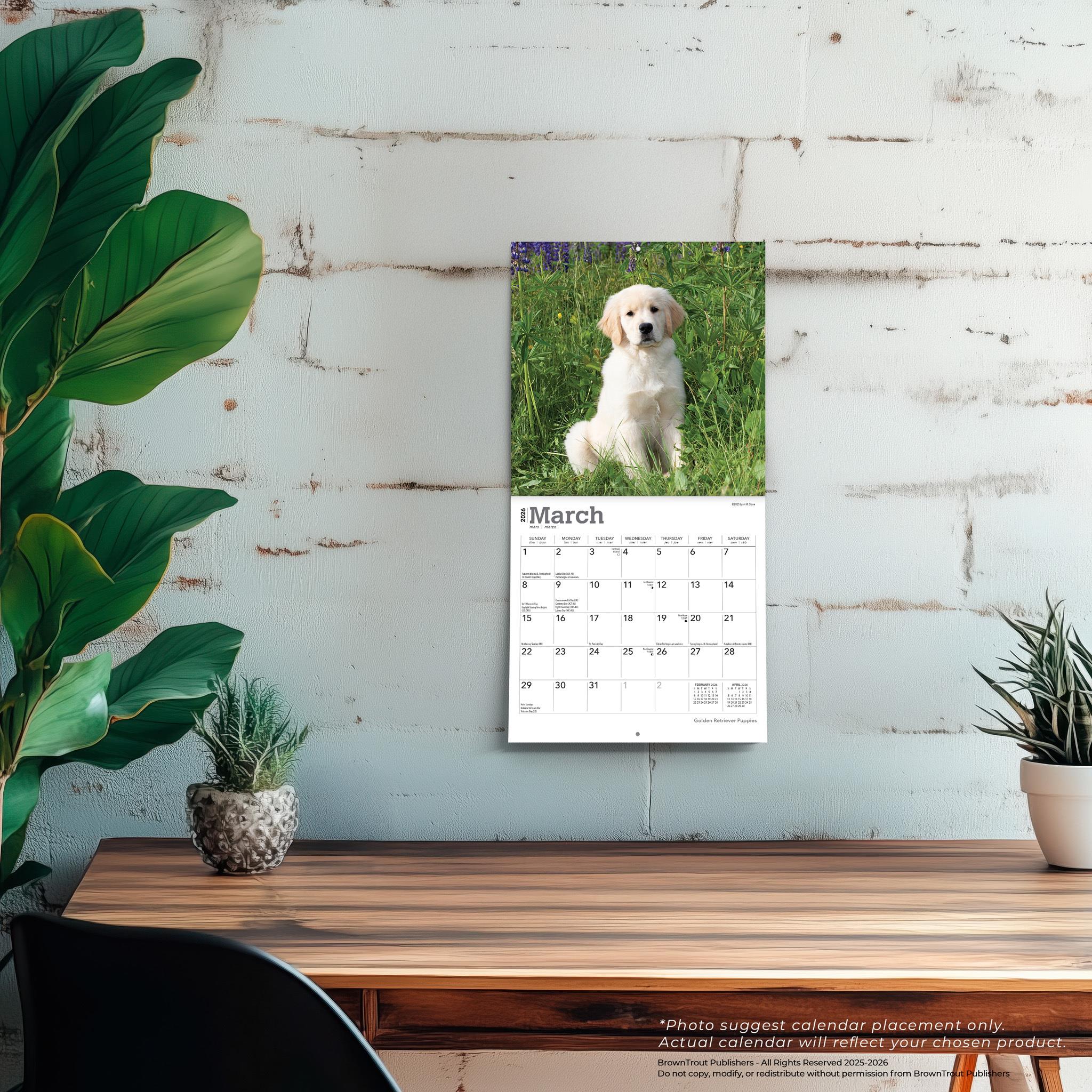 Golden Retriever Puppies 2026 Mini Calendar