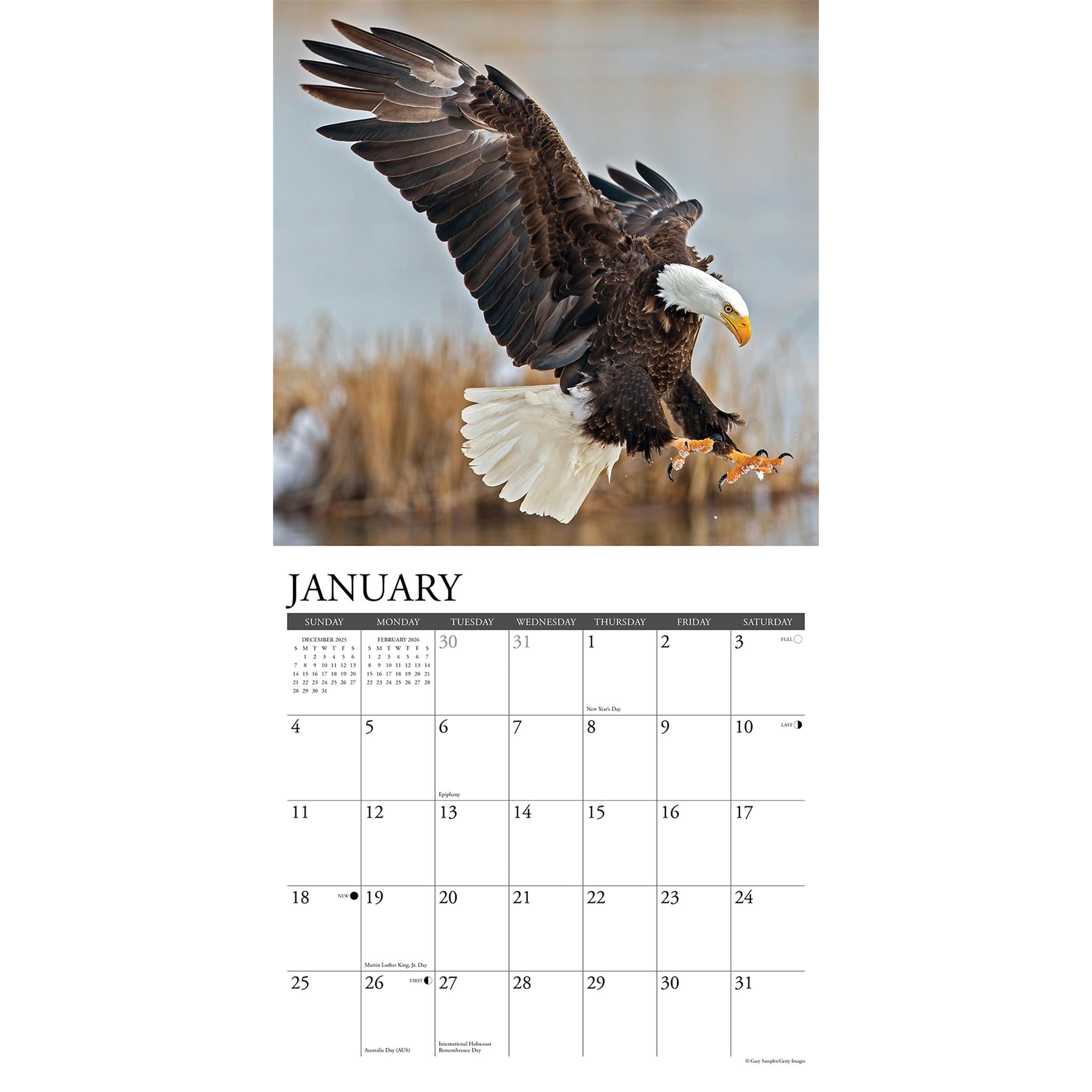 Calendrier mural Eagles 2026 - Disponible uniquement en ligne