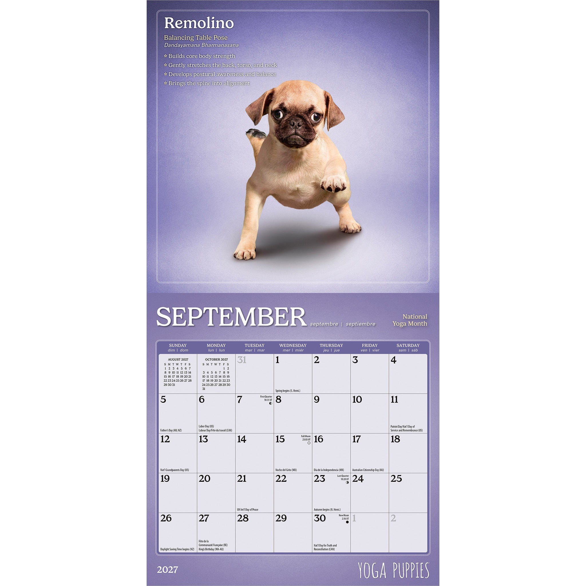 Yoga Puppies 2027 Mini Calendar