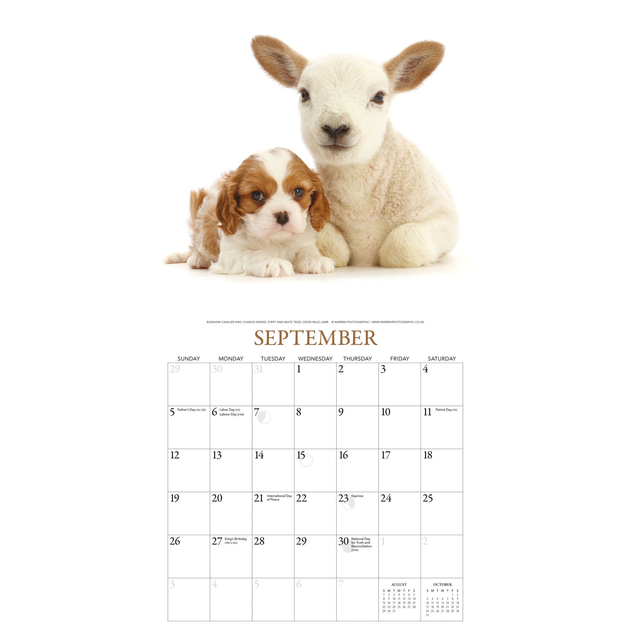 Calendrier mural Chiots et amis 2027