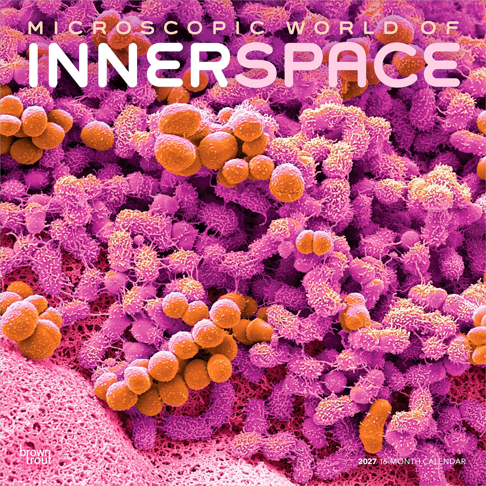 Innerspace 2027 Wall Calendar