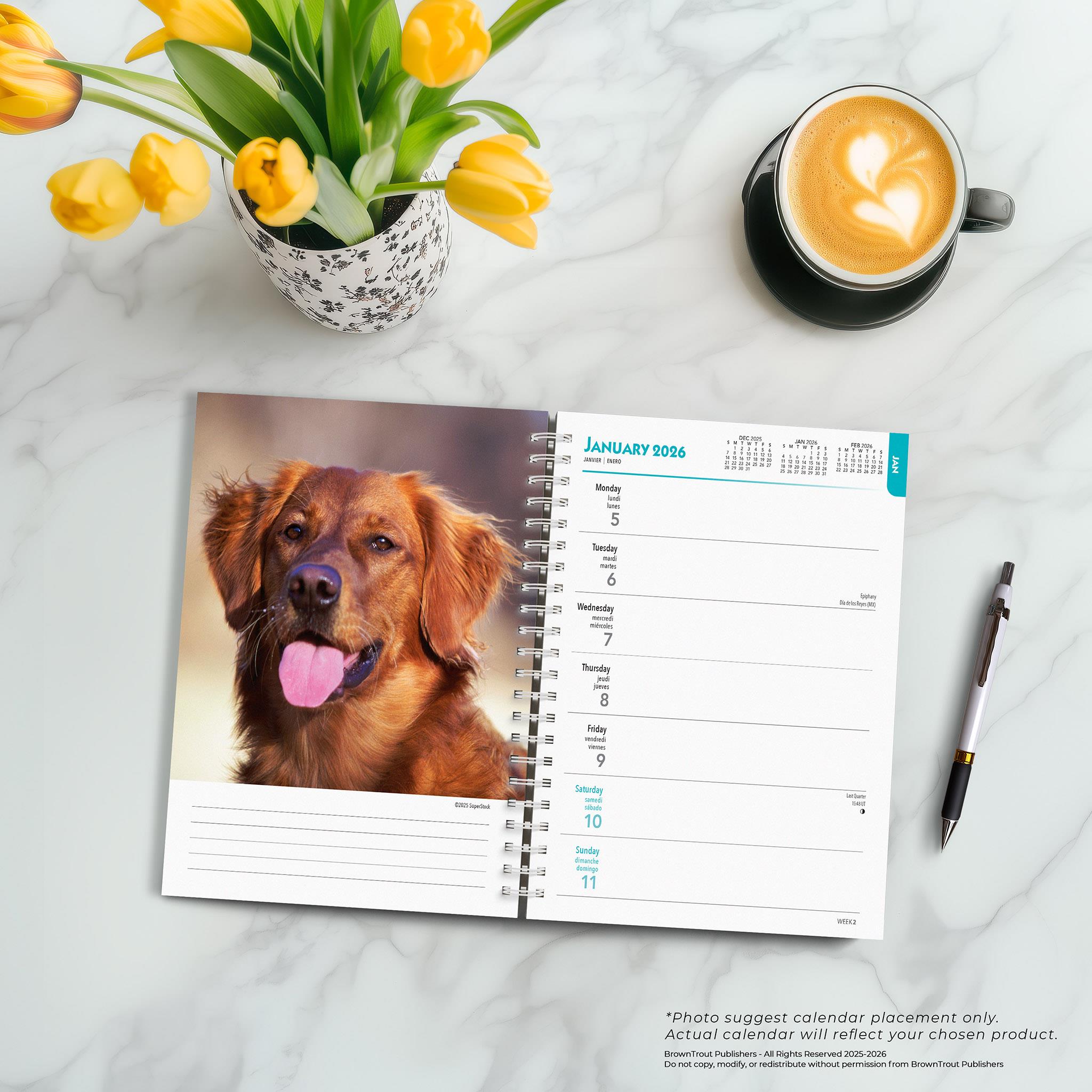 Golden Retrievers 2026 Engagement Calendar - Online Only