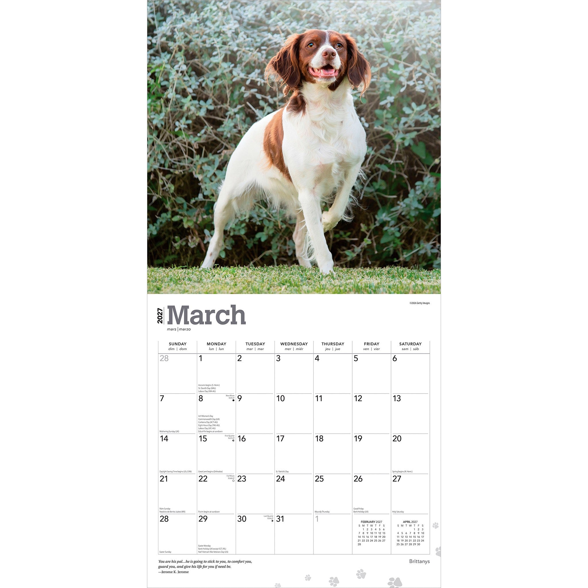 Brittanys 2027 Wall Calendar - Online Only