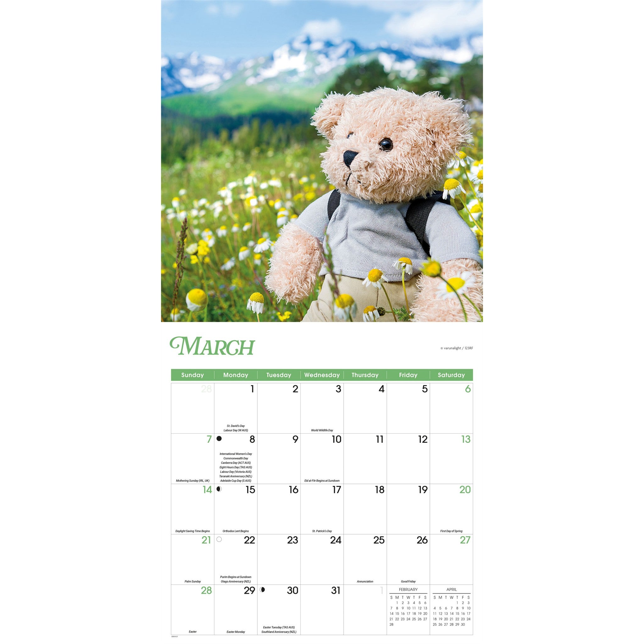 Teddy Bears 2027 Wall Calendar