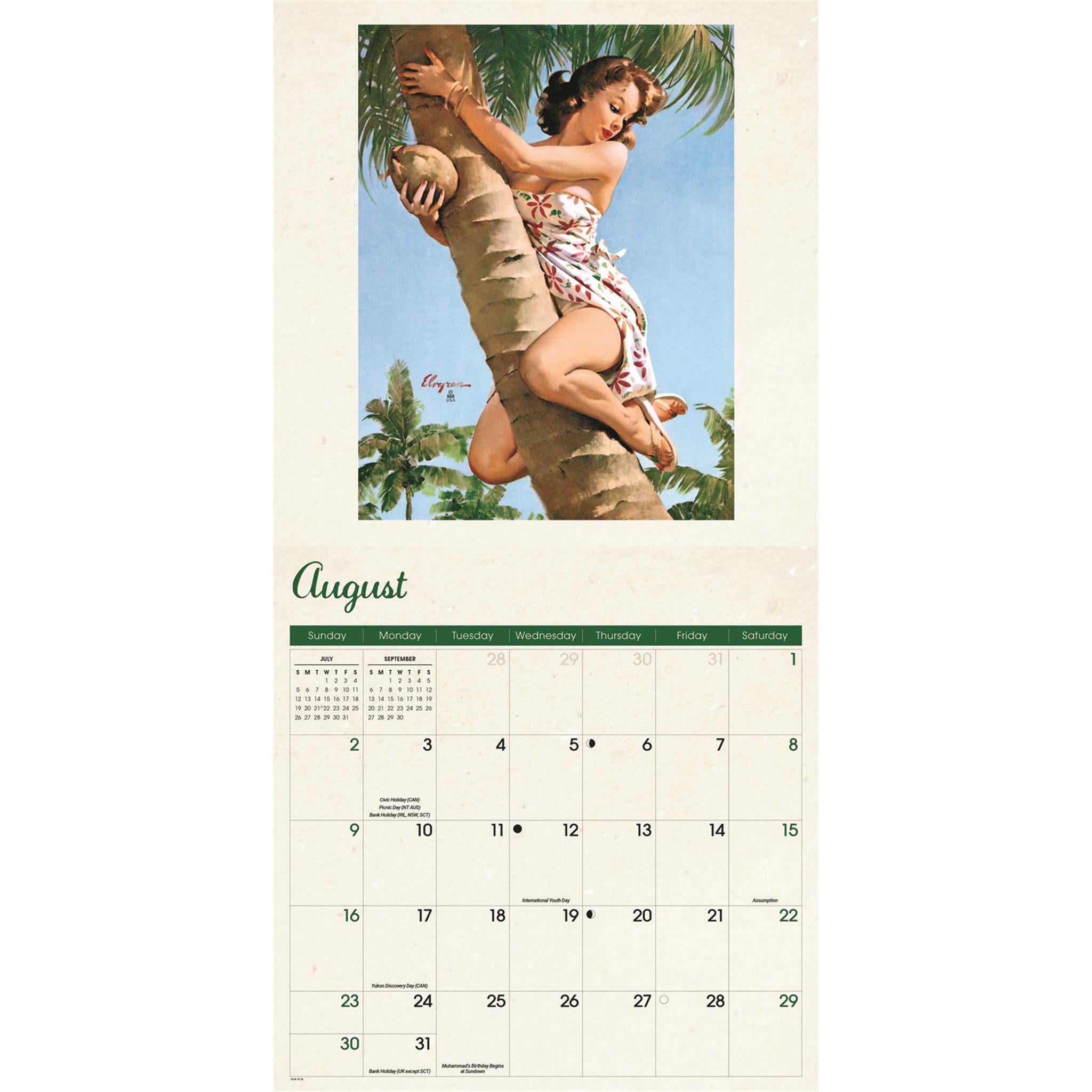Pin Ups 2026 Wall Calendar