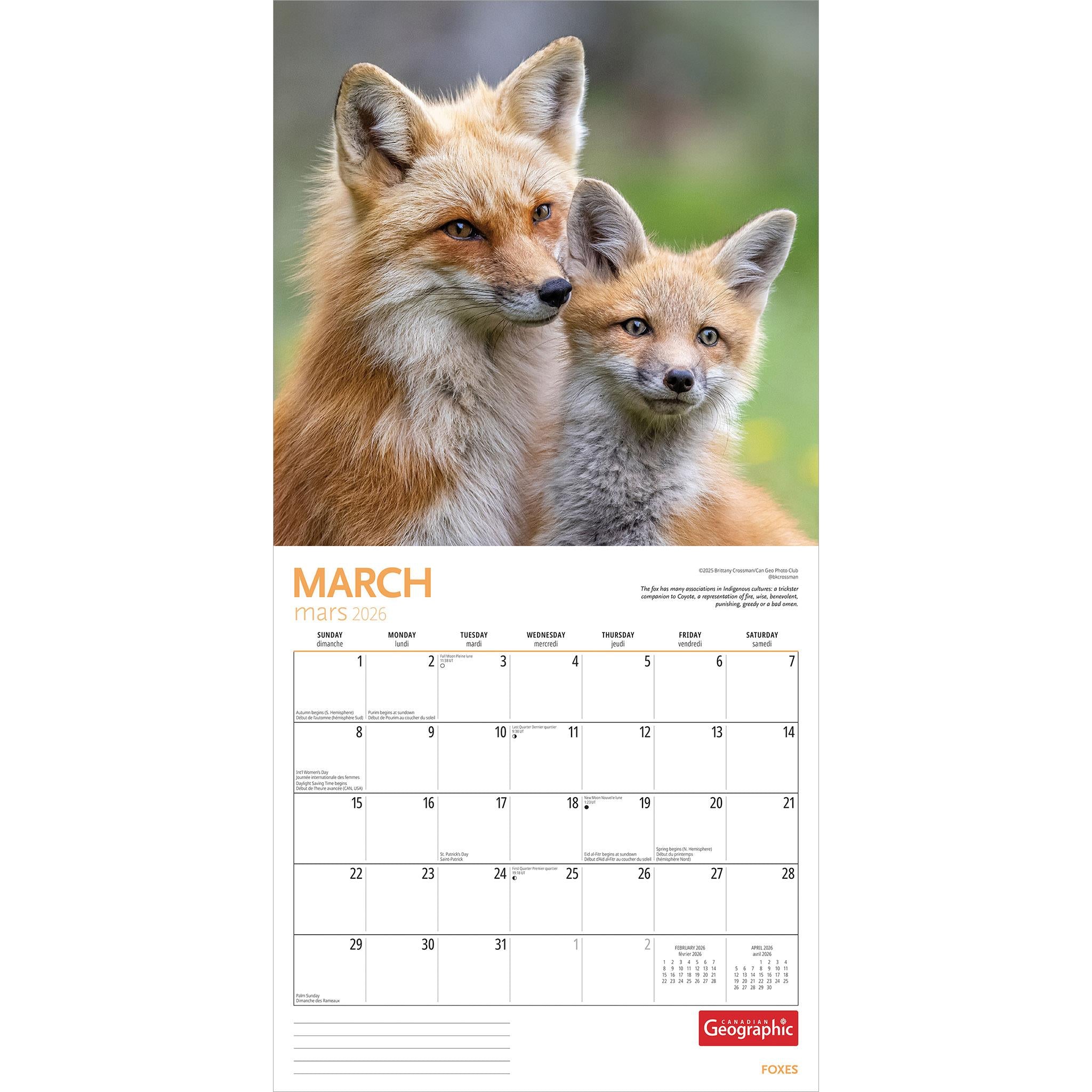 Calendrier mural Canadian Geographic Foxes 2026 - Disponible uniquement en ligne