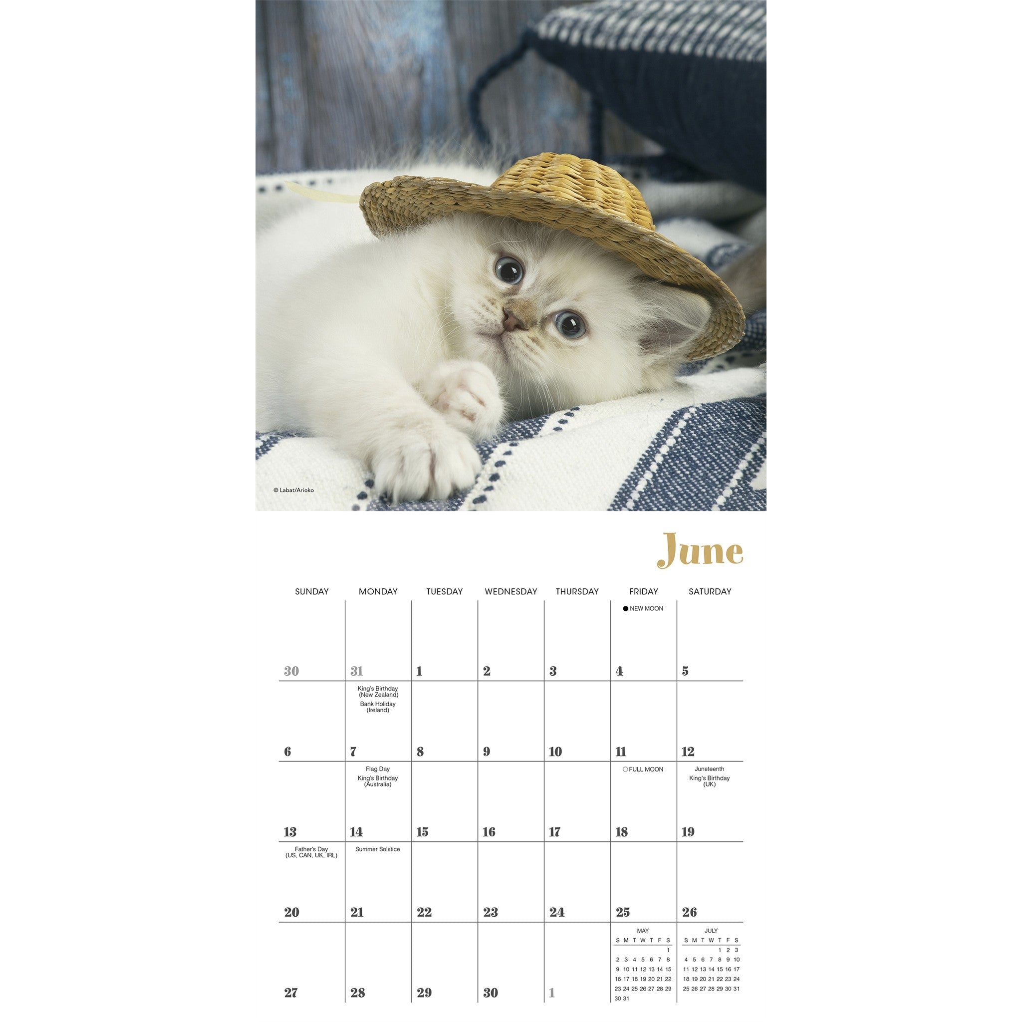 Cats in Hats 2027 Mini Calendar