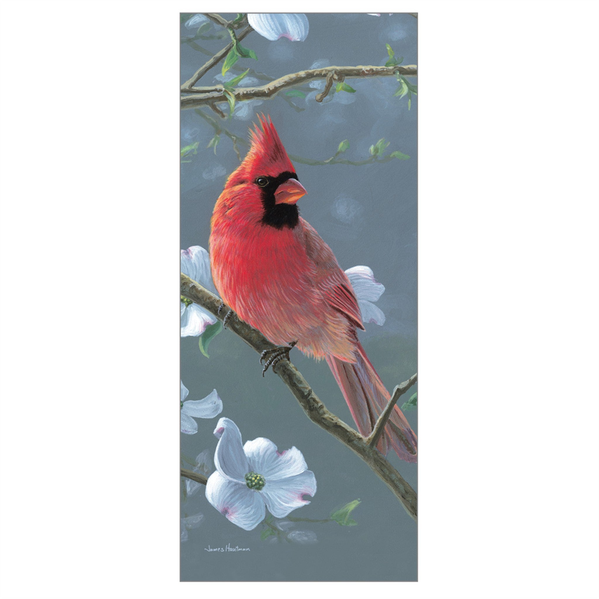 Songbirds Special Edition 2027 Wall Calendar