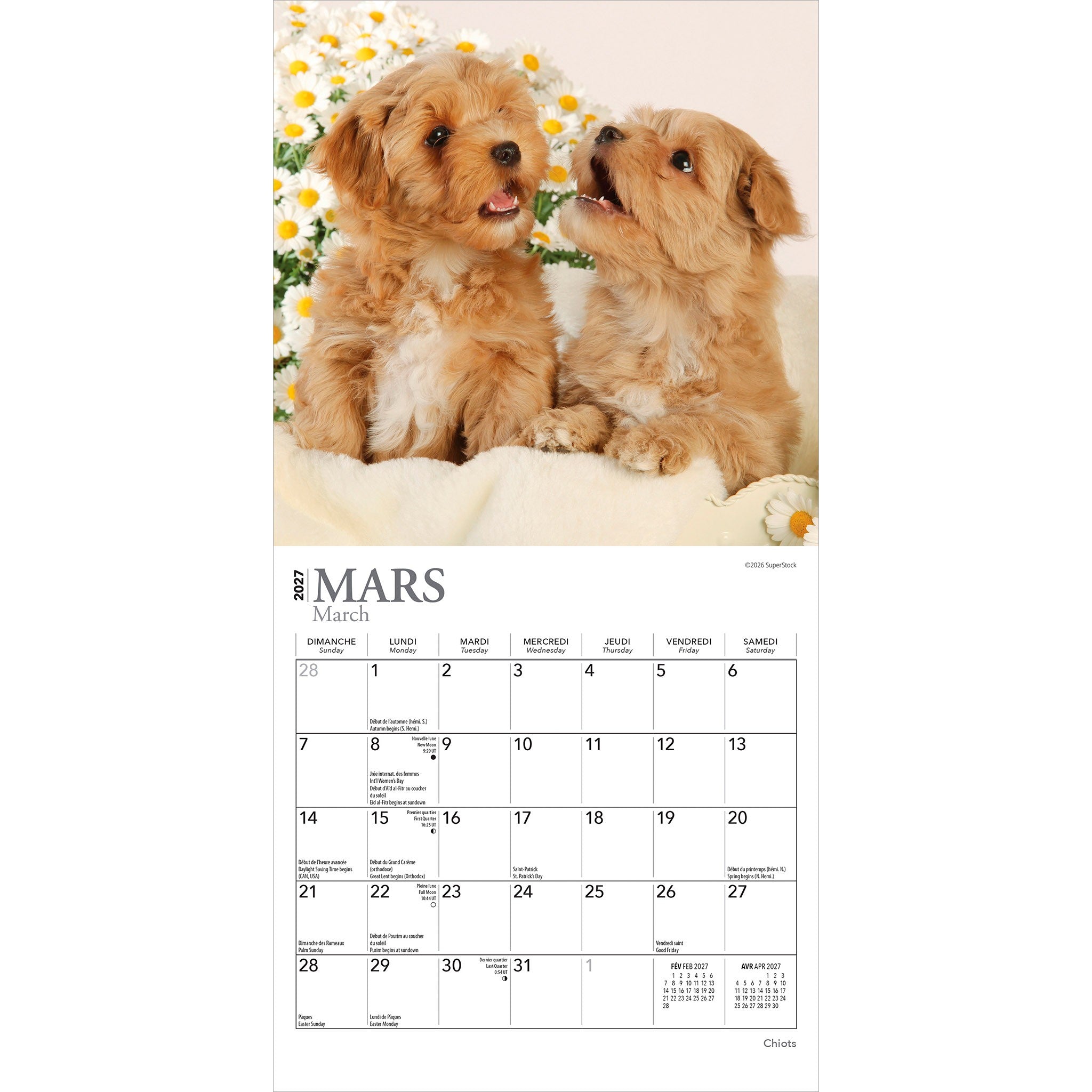 Chiots 2027 Mini Calendar (French)