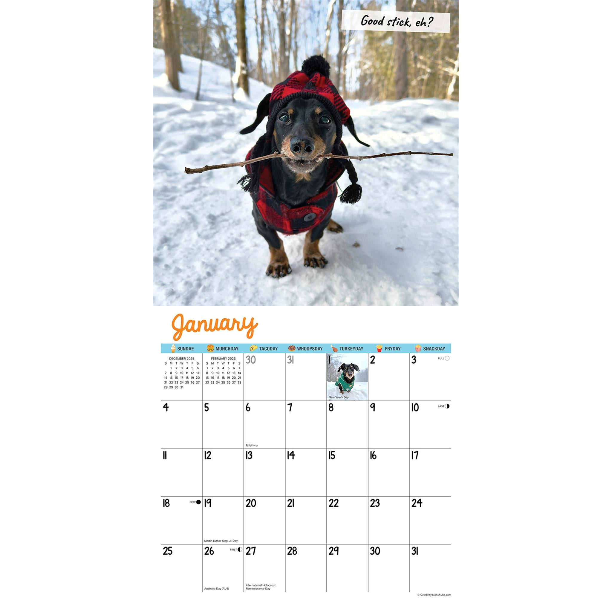 Crusoe The Celebrity Dachshund 2026 Wall Calendar