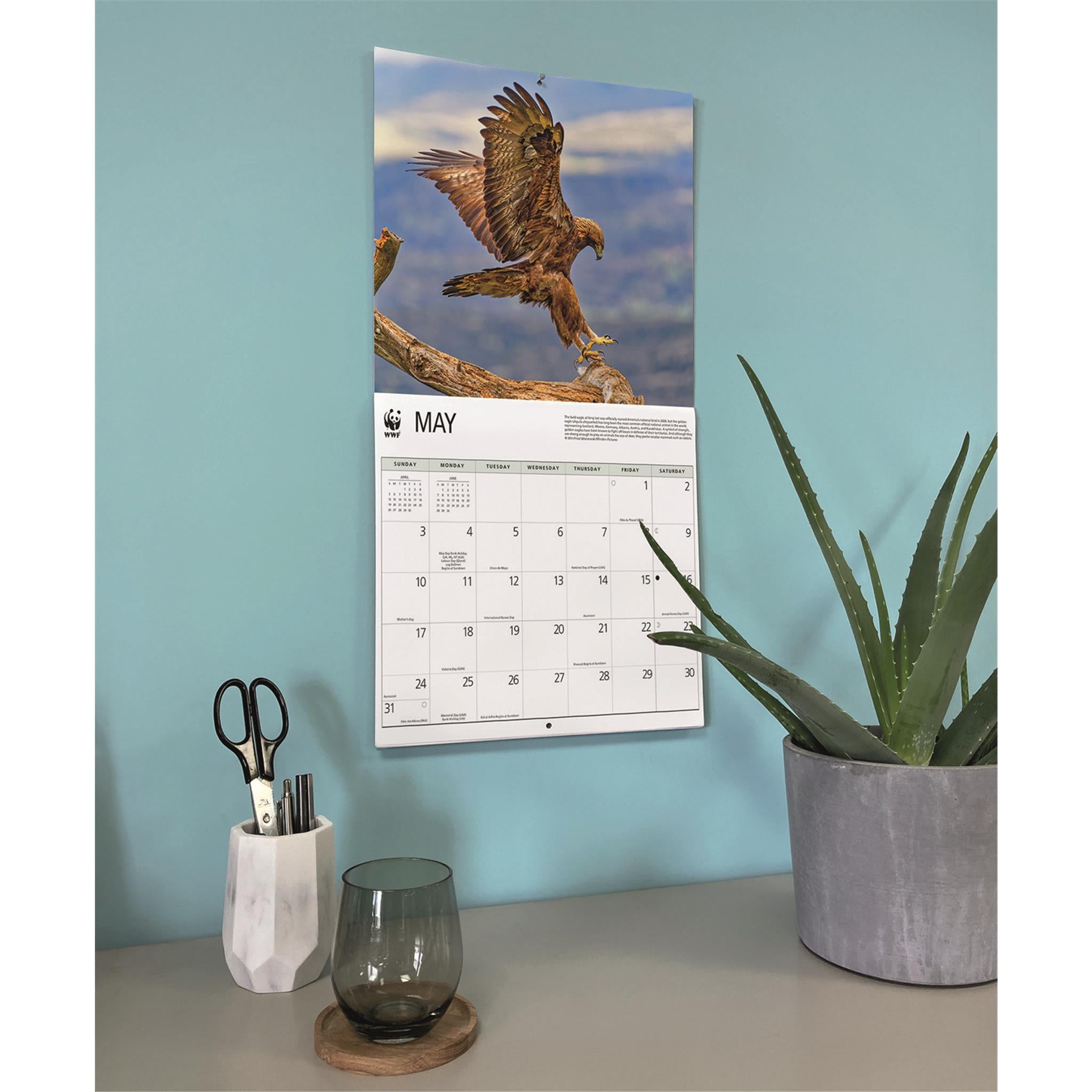 World Wildlife Fund Eagles 2026 Wall Calendar