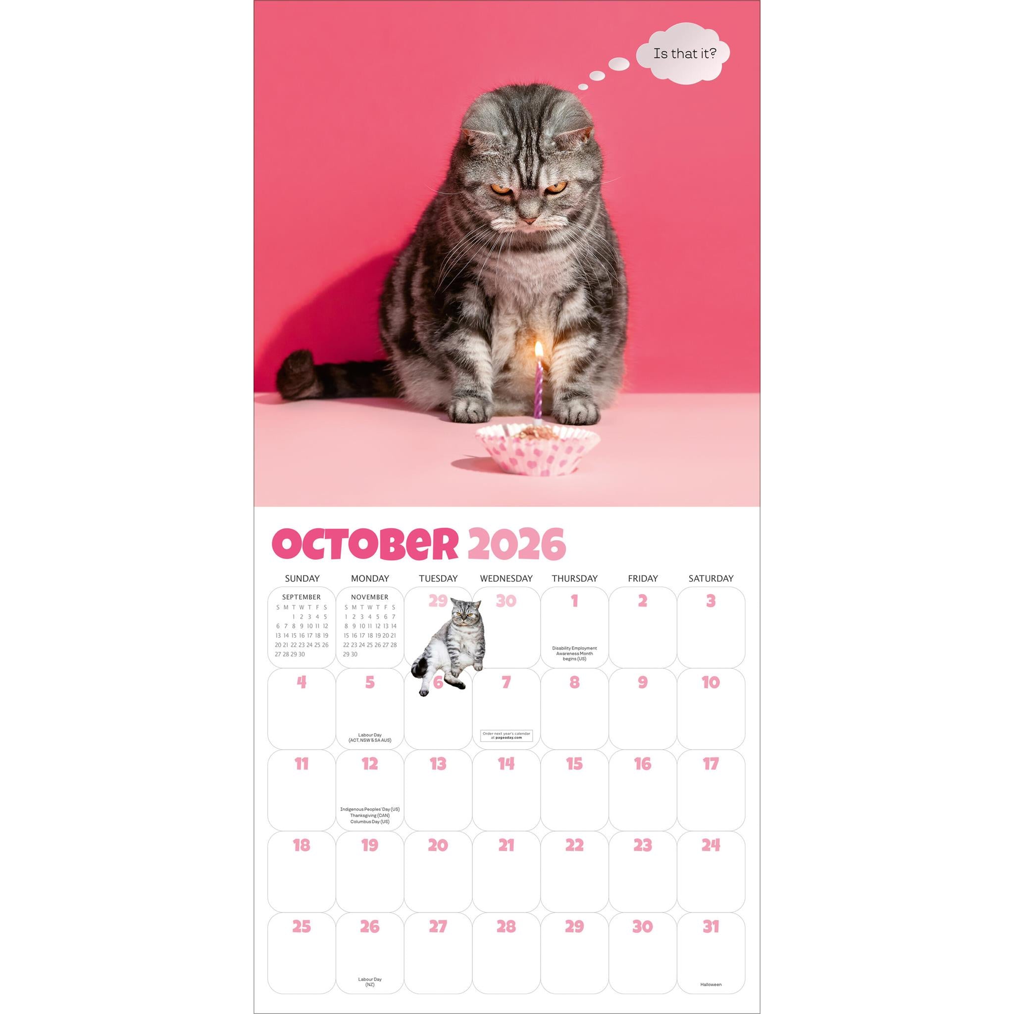 Calendrier mural Chonkers 2026