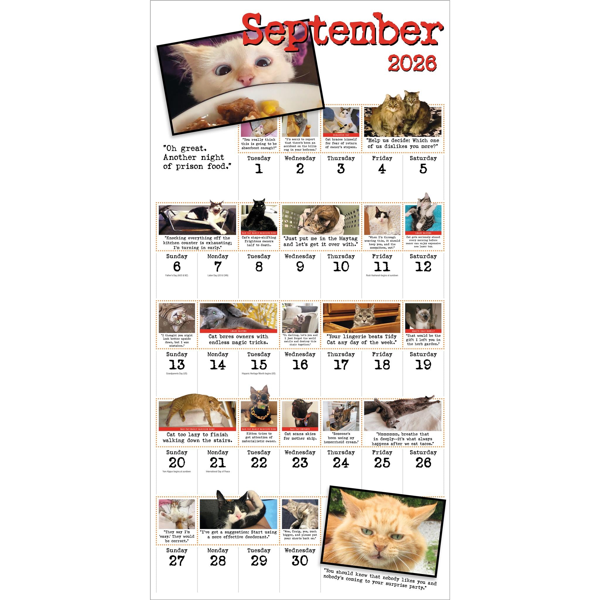 Bad Cat 2026 Wall Calendar - Online Only