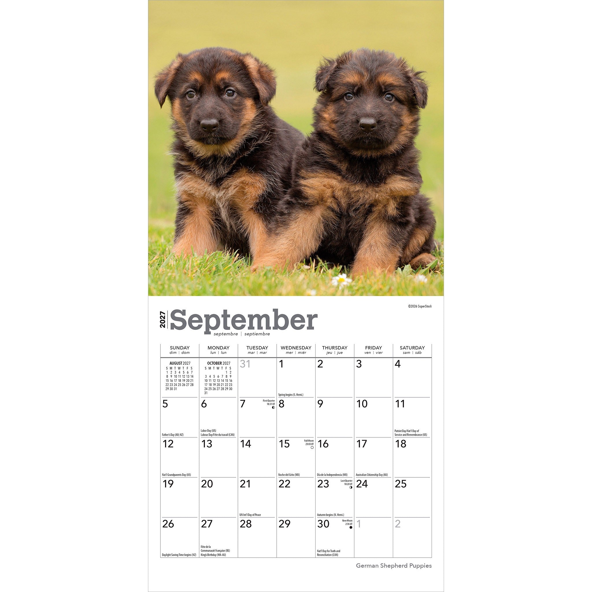 German Shepherd Puppies 2027 Mini Calendar