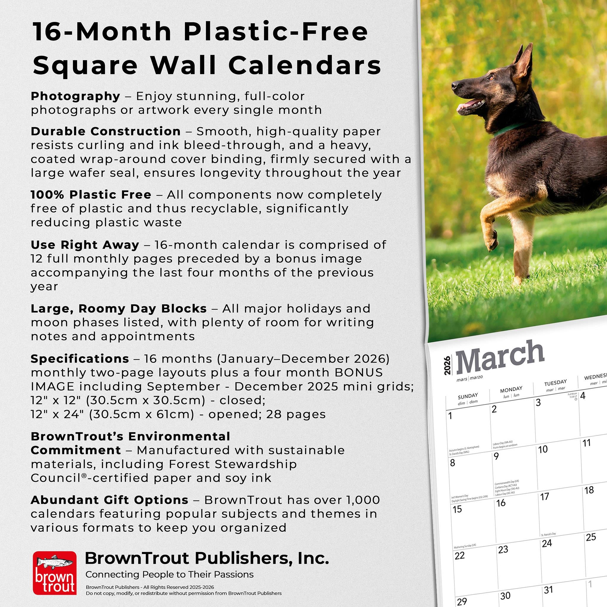 Belgian Malinois 2026 Wall Calendar - Online Only