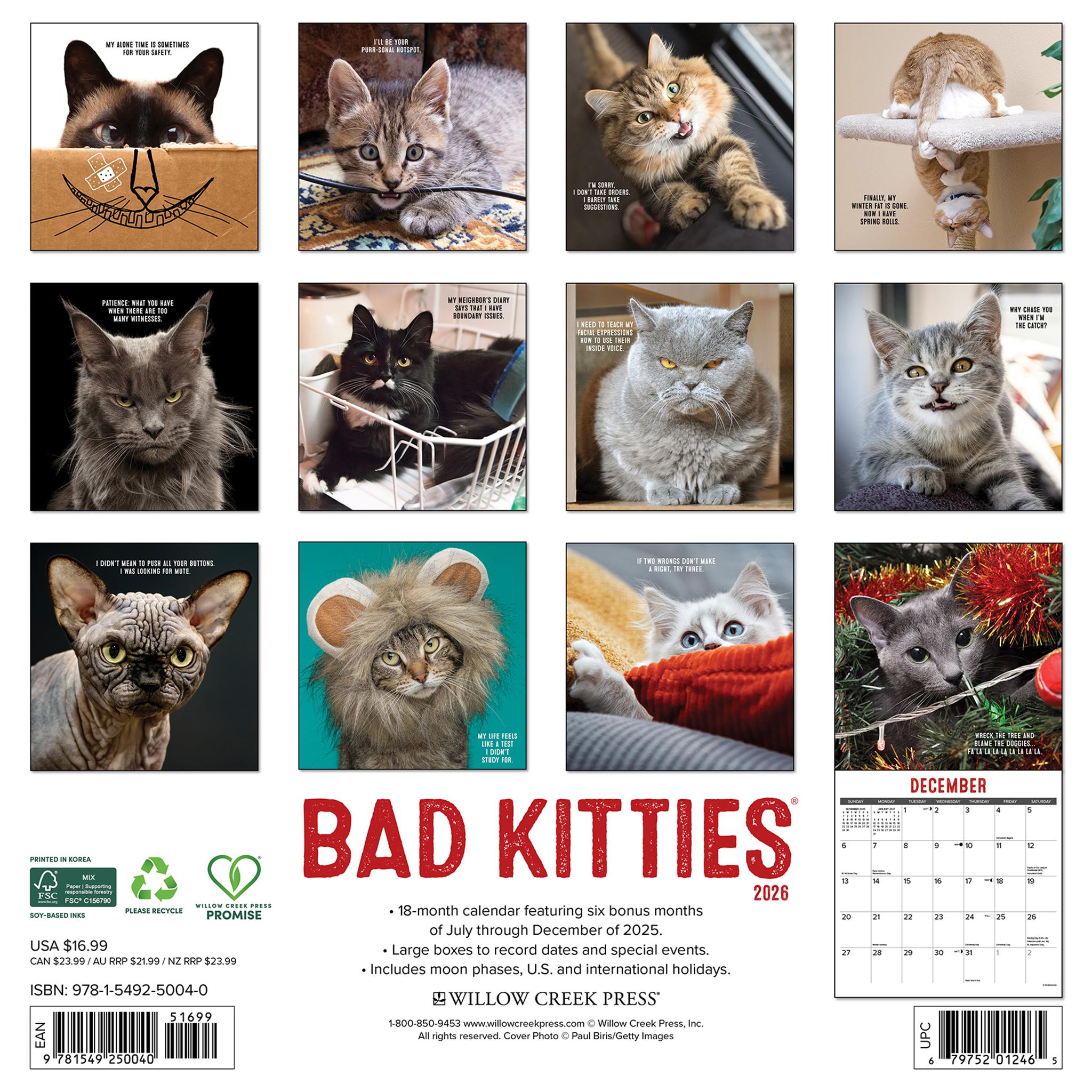 Calendrier mural Bad Kitties 2026