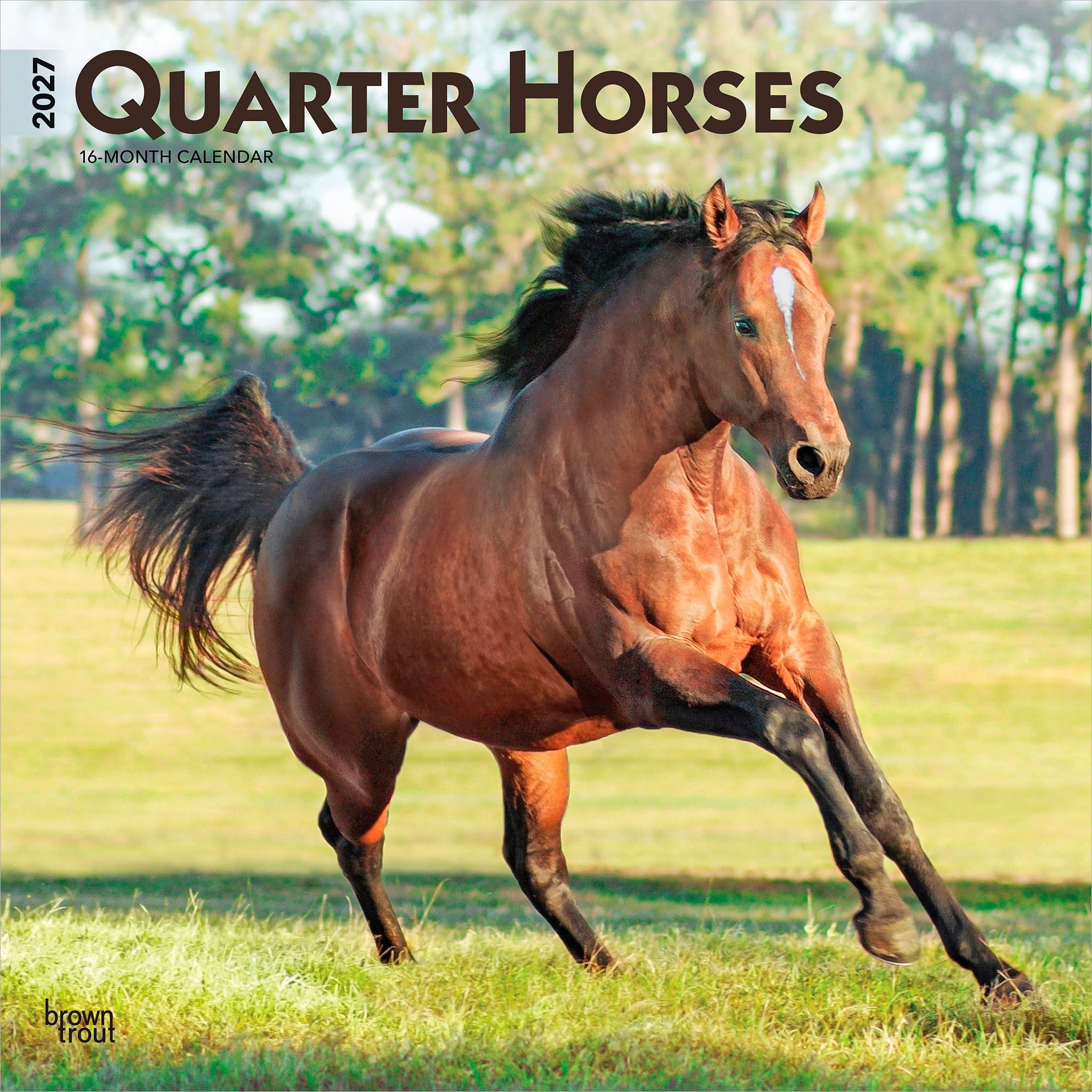 Quarter Horses 2027 Wall Calendar - Online Only