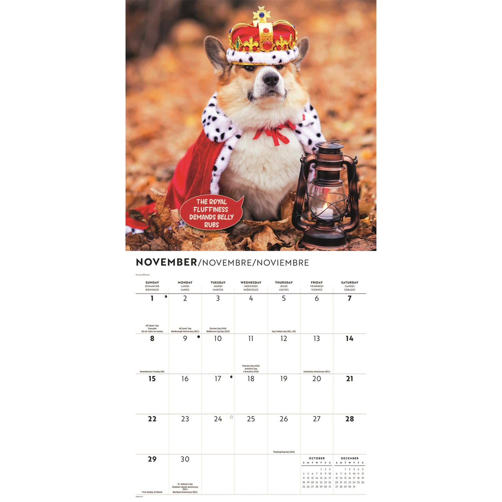 Calendrier mural Corgi Capers 2026