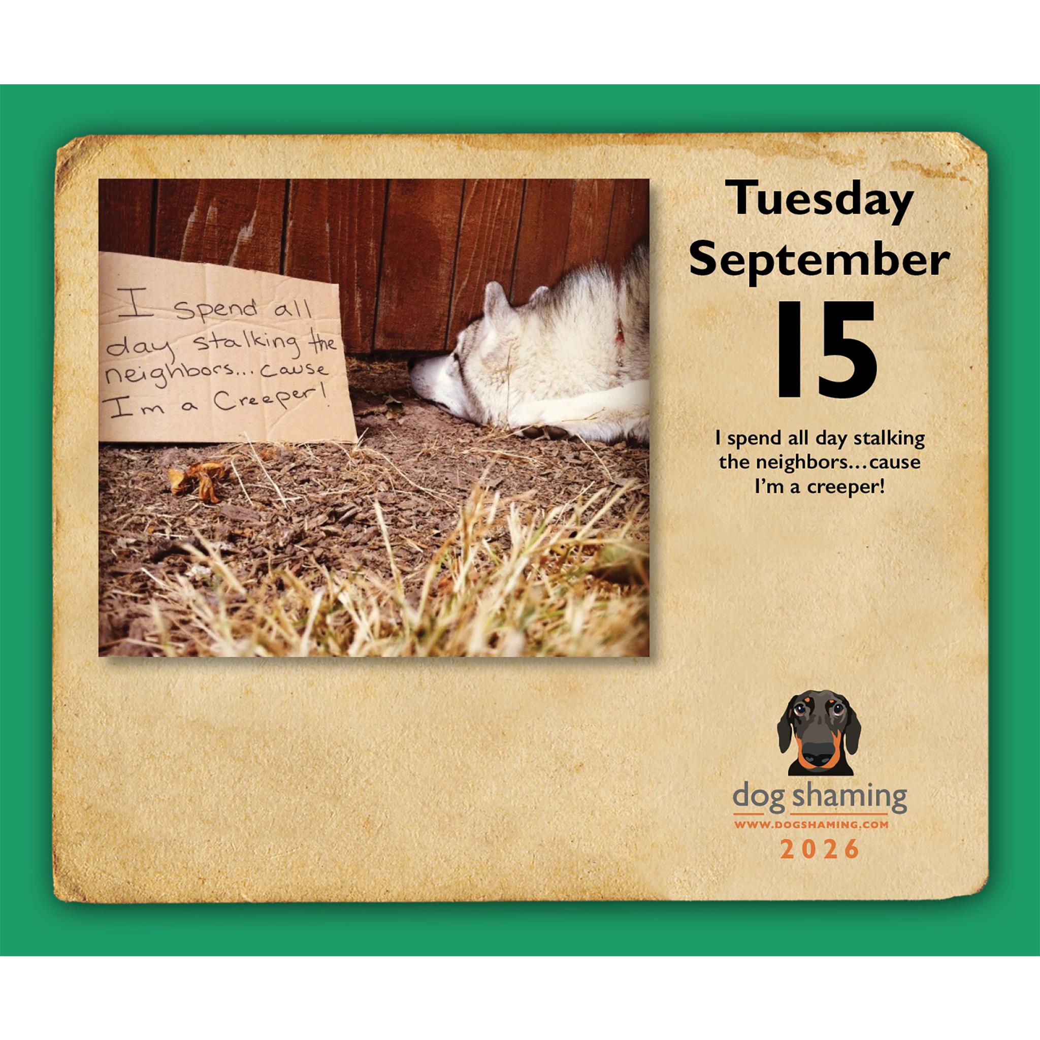 Dog Shaming 2026 Box Calendar