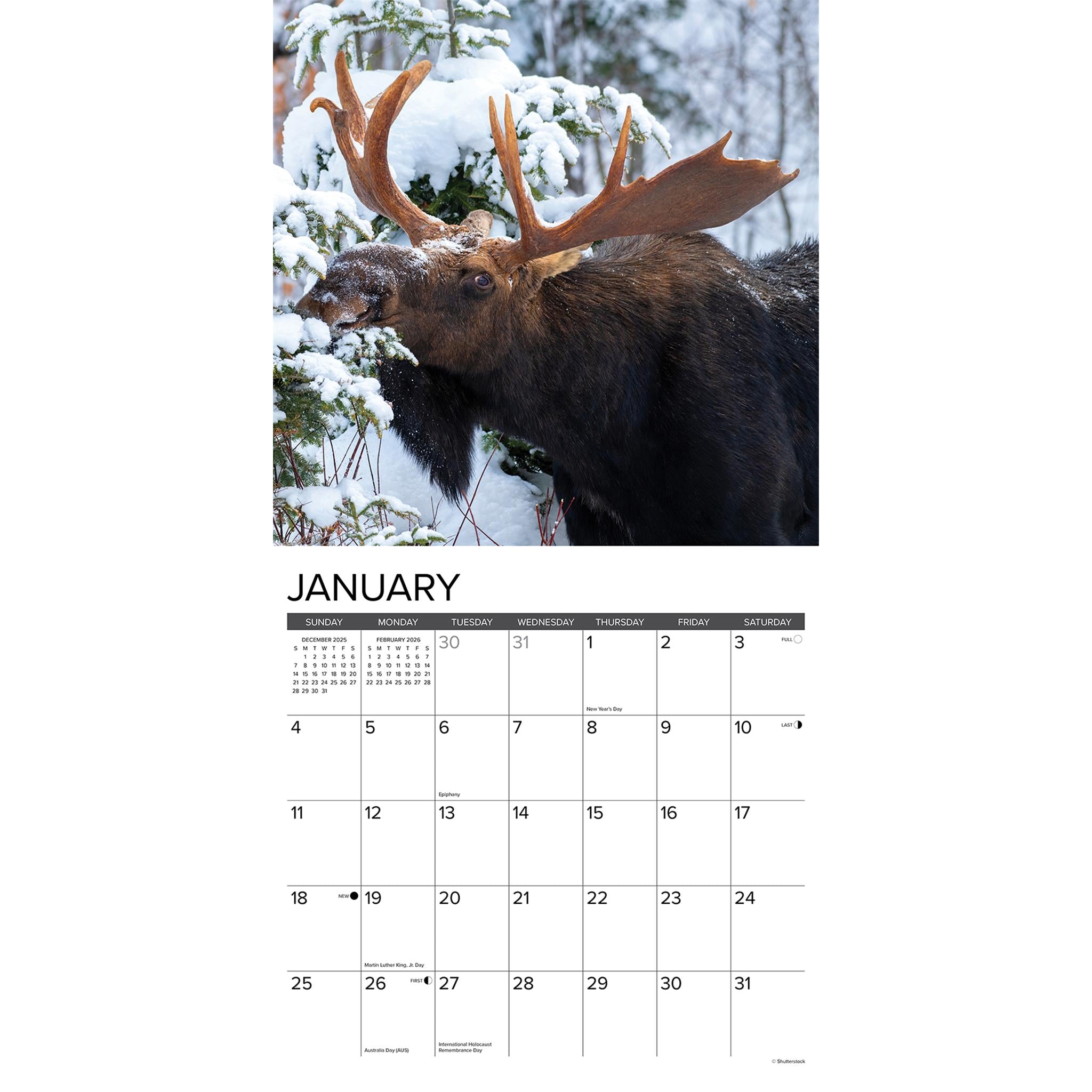 Calendrier mural Moose 2026 - Disponible uniquement en ligne