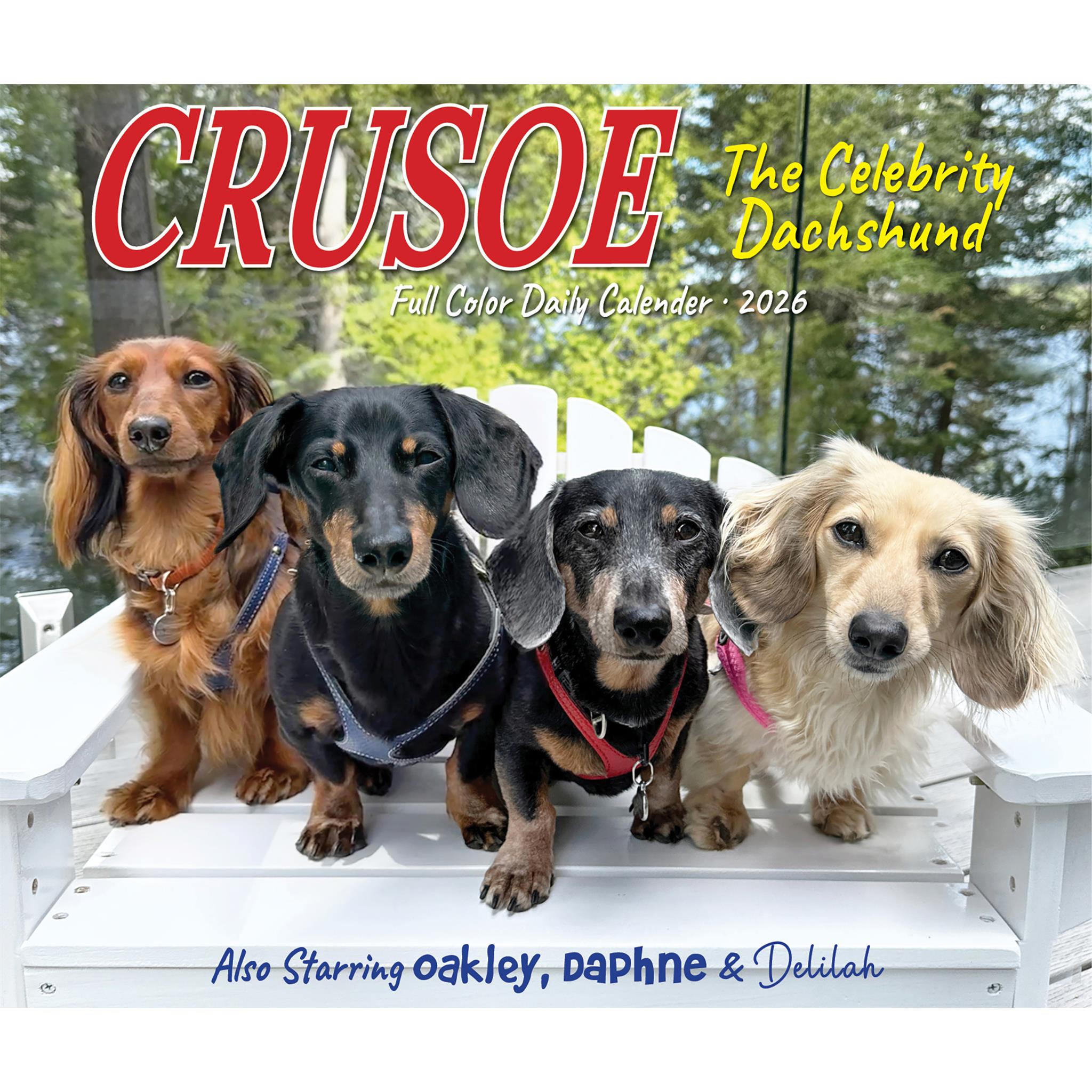 Calendrier 2026 de Crusoe, le teckel star - Disponible uniquement en ligne