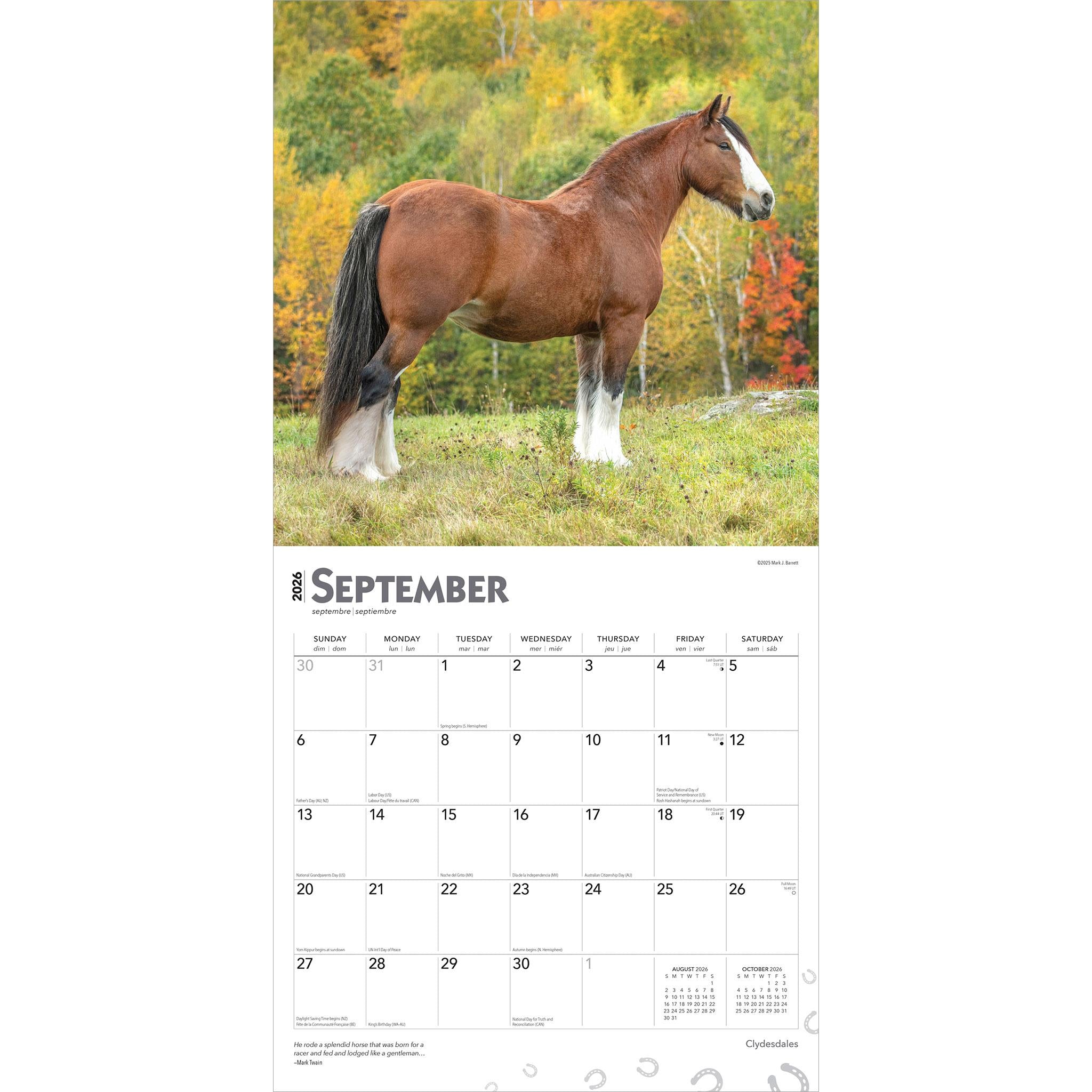 Calendrier mural Clydesdales 2026 - Disponible uniquement en ligne