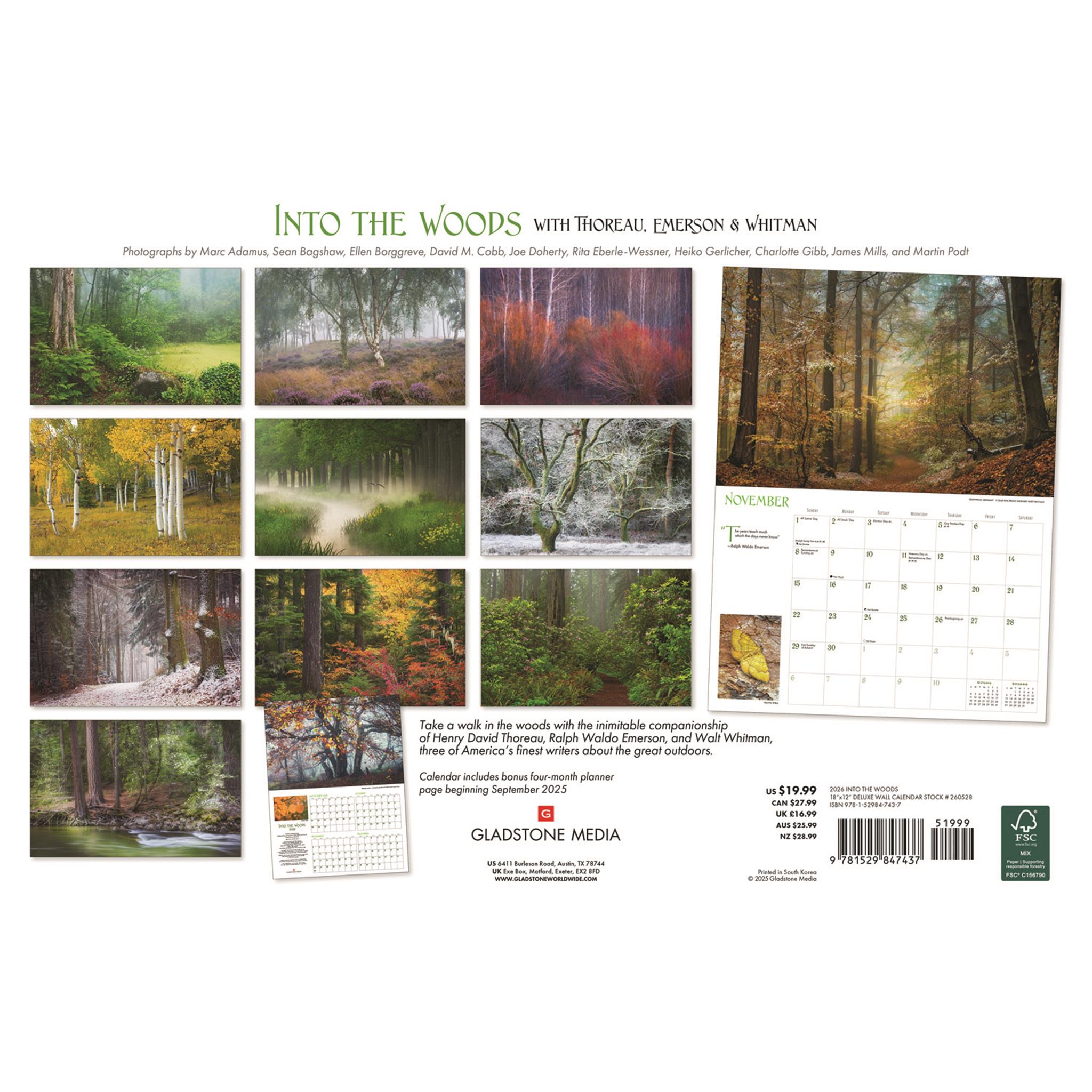 Calendrier mural surdimensionné Into The Woods 2026